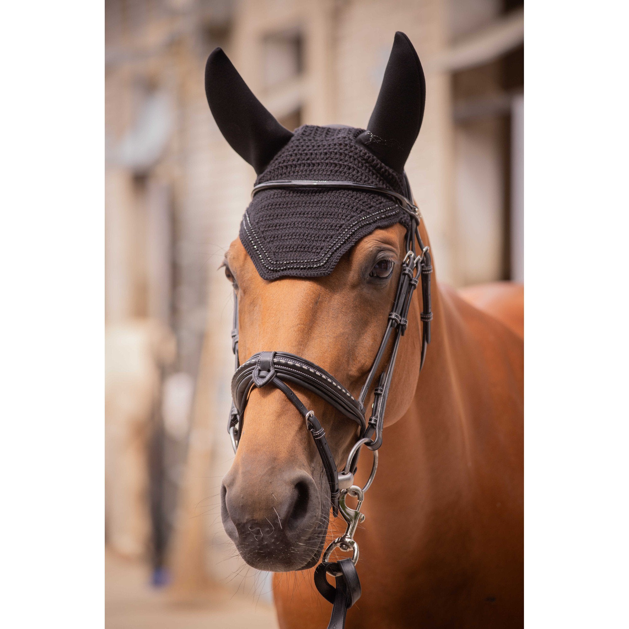 Pénélope Soundless Strass Fly Veil Black 306893002