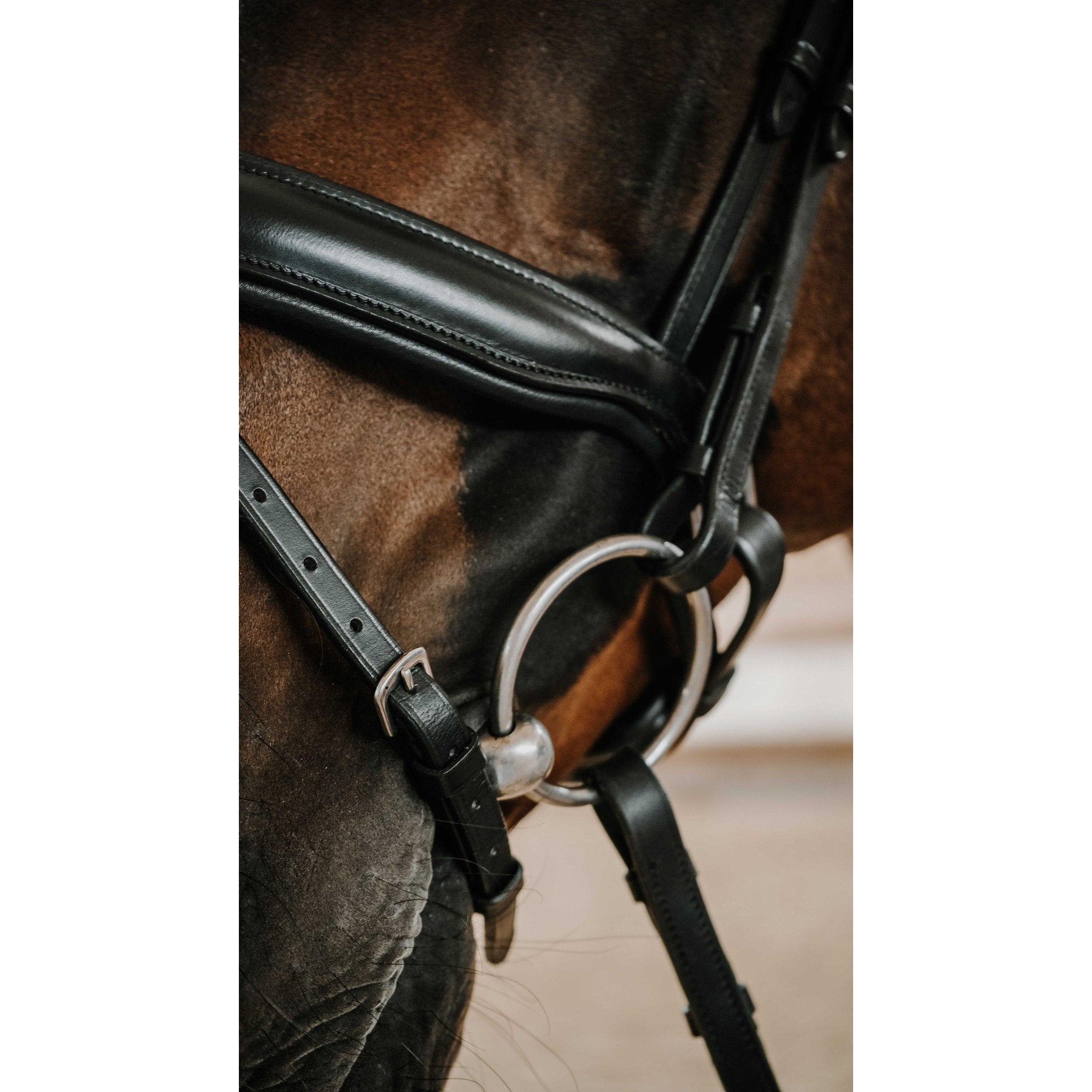 Norton Diams Bridle Black 301824302
