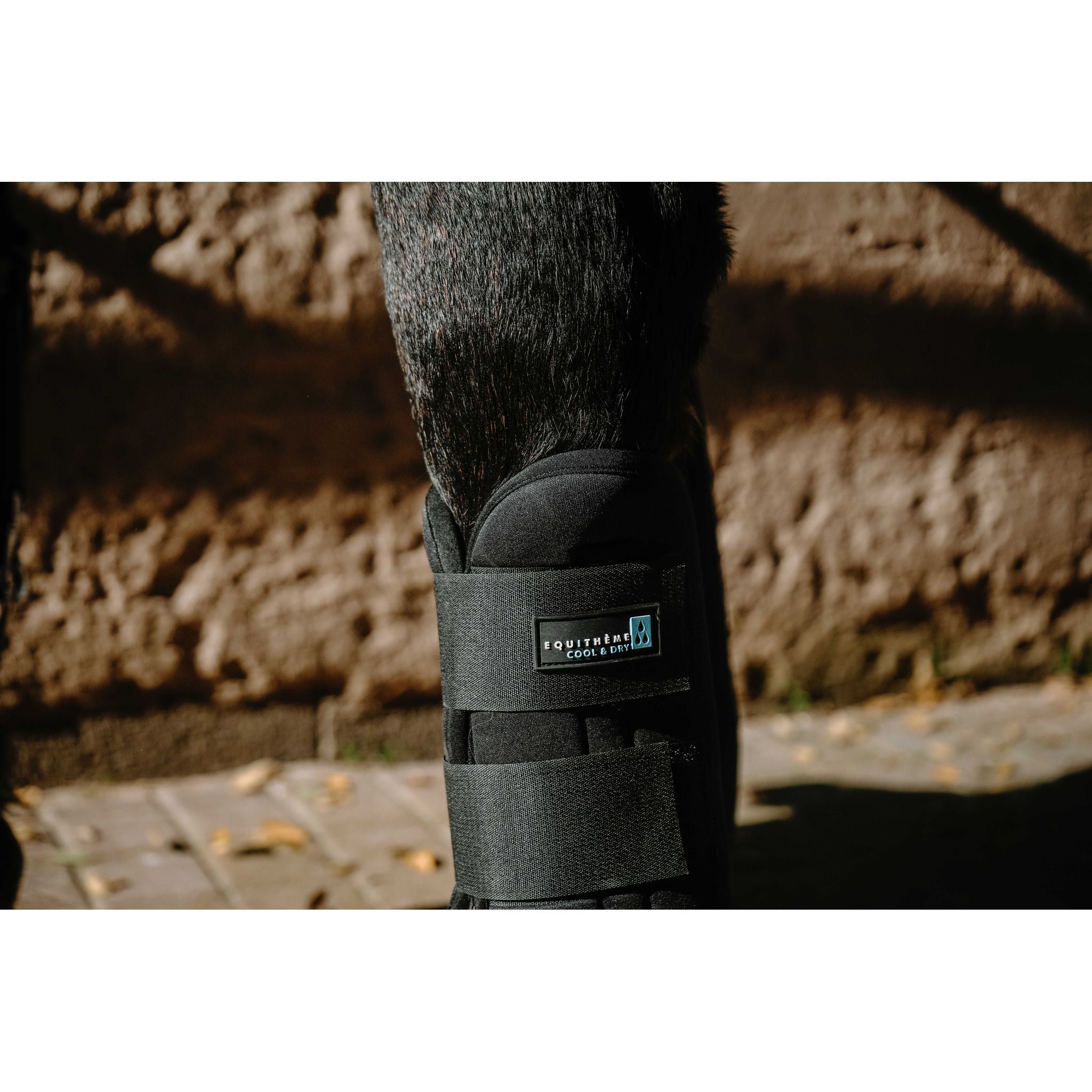 EQUITHÈME Cool&dry Refreshing Leg Wraps - FRESH Black - 530000003_zoom_1