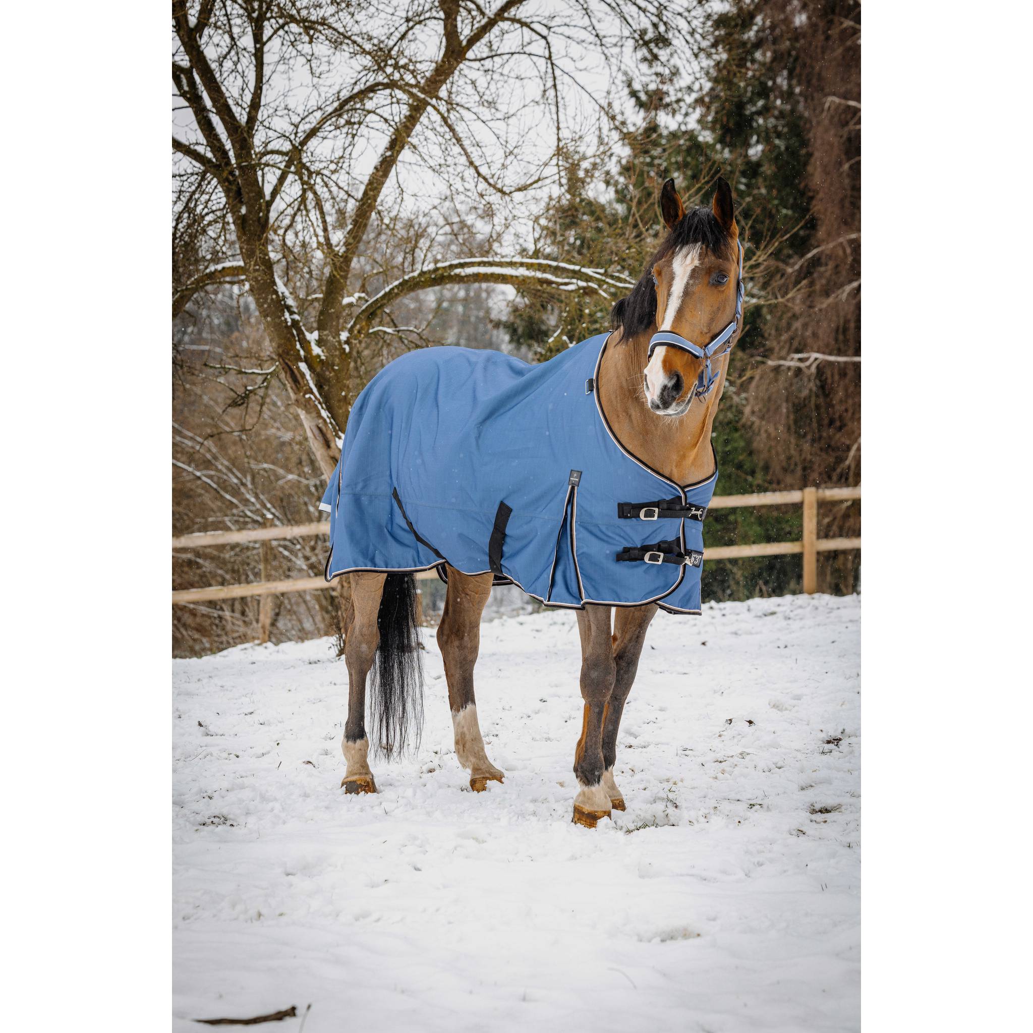 EQUITHÈME TYREX 1200D Comfort Blanket Cobalt Blue - 400596466_ambi_1