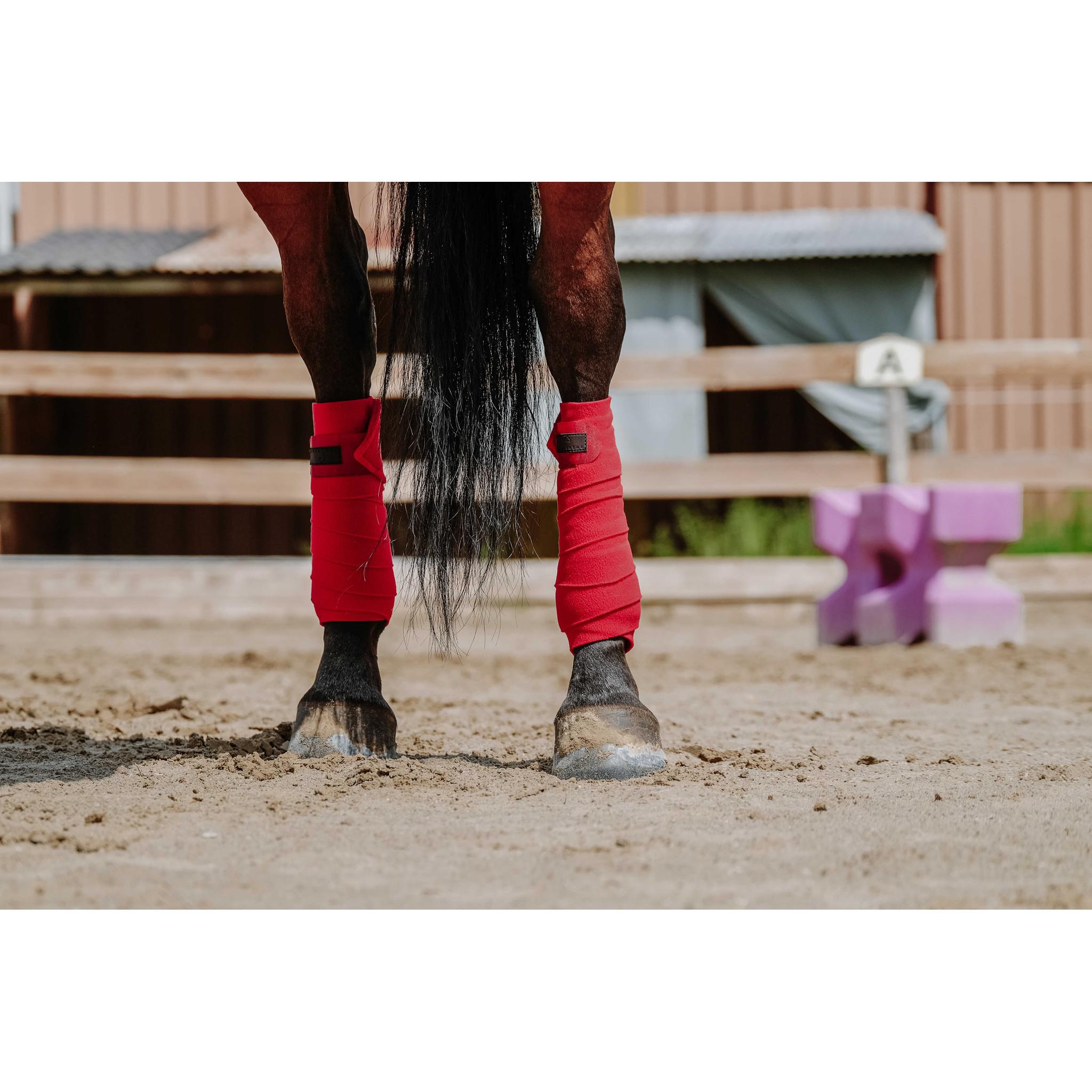 EQUITHÈME Polo Wraps Red 540068003