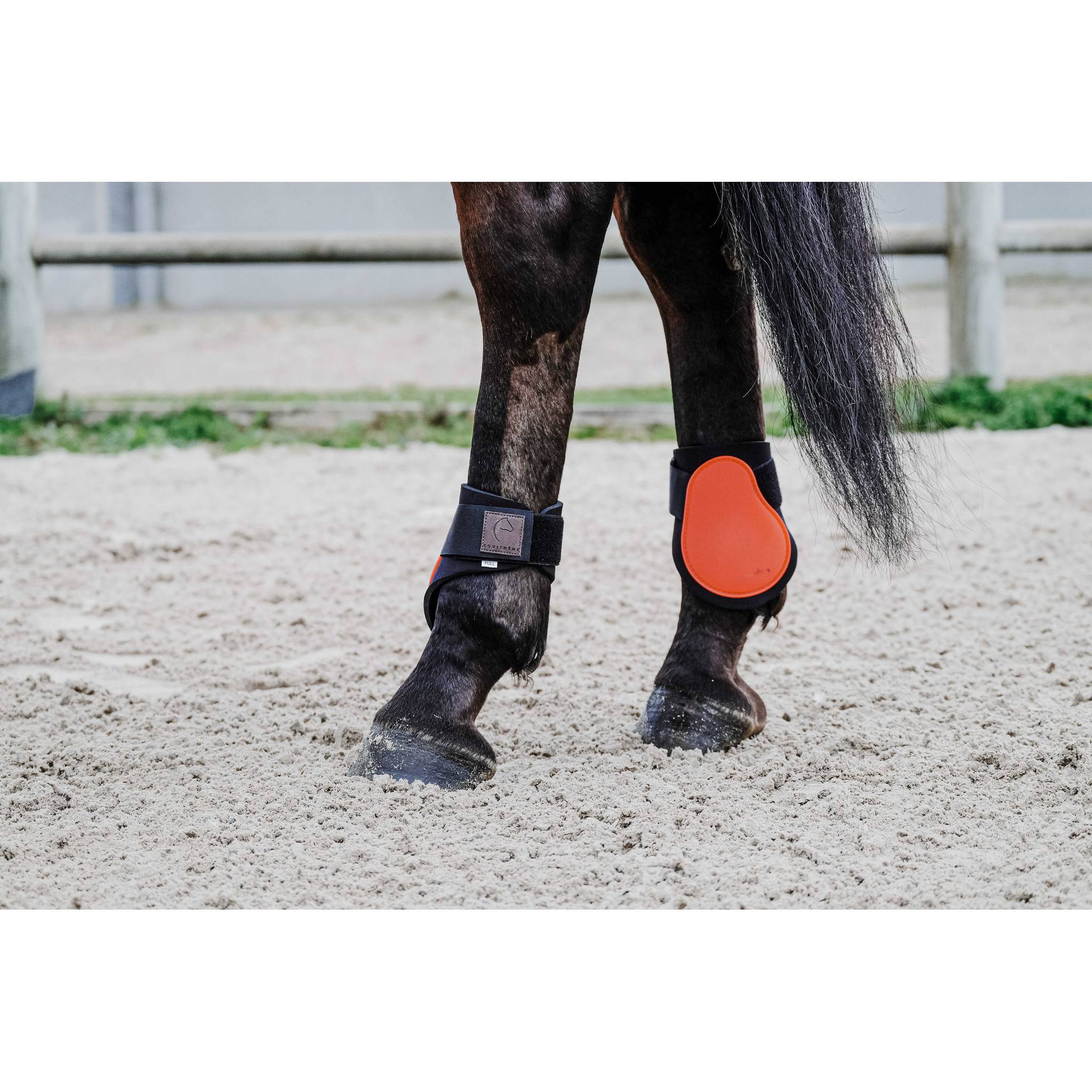 EQUITHÈME Tara Fetlock boots Orange 530817322