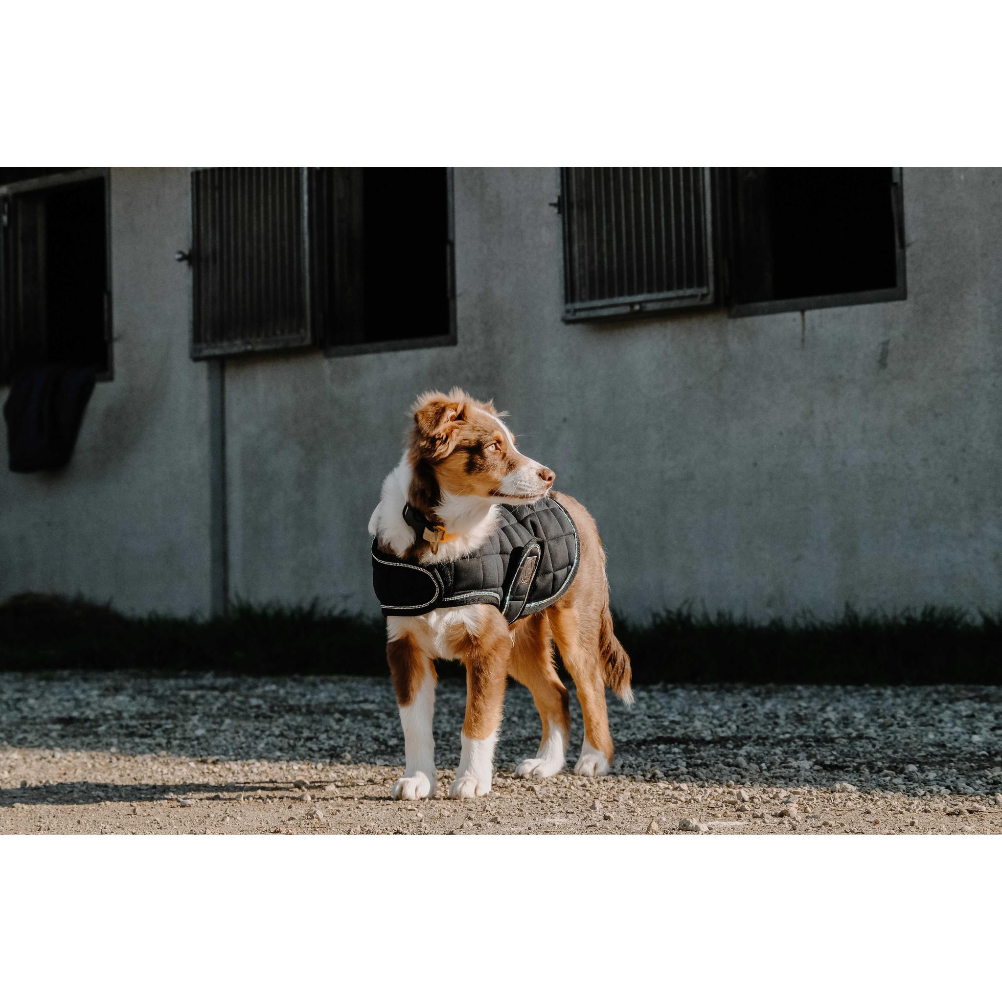 Je t'aime EQUITHÈME Velours dog rug Black 409037240