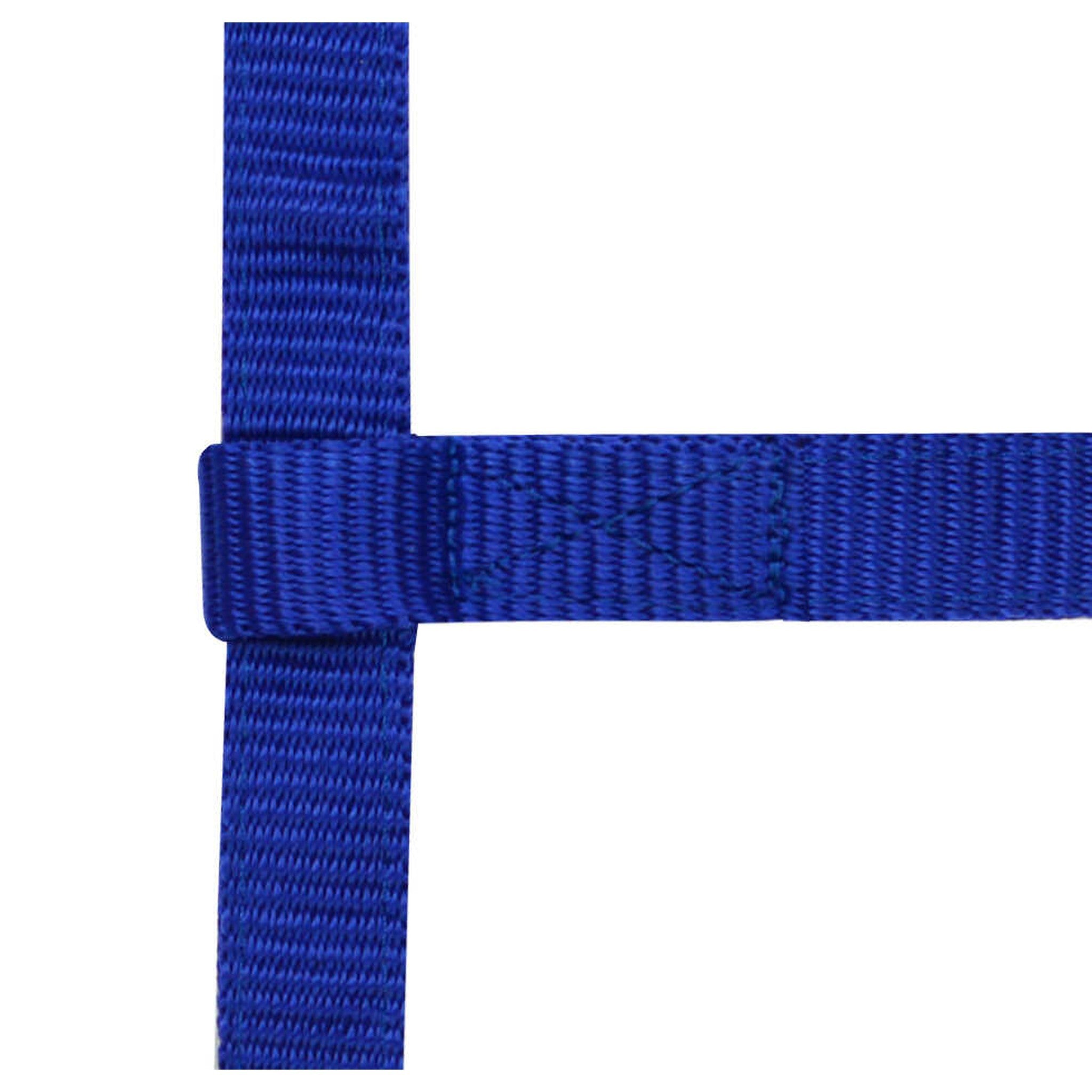 Norton "Mini" adjustable nylon headcollar Royal blue 510033006