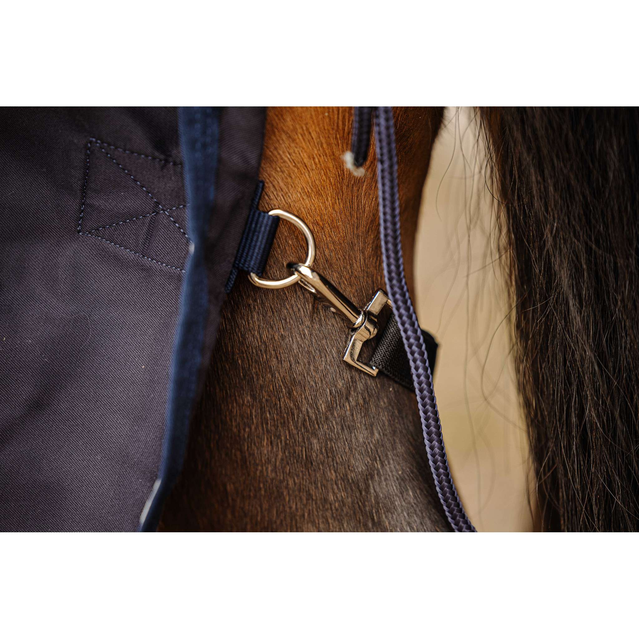 EQUITHÈME Vague Sheet Navy blue 400348063