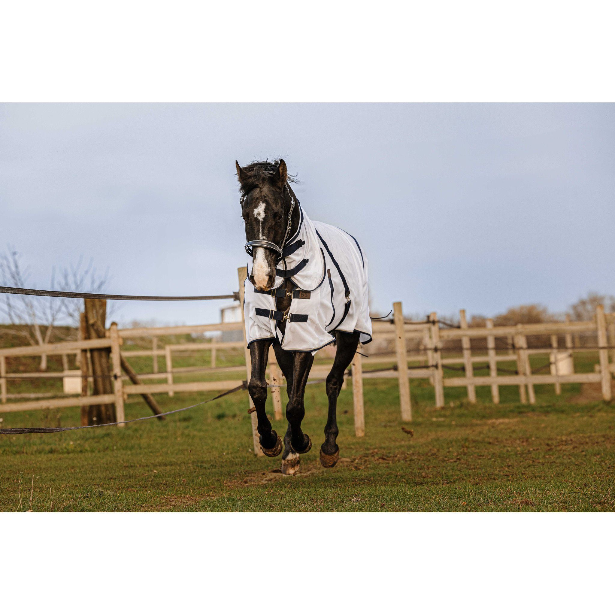 EQUITHÈME Mesh Sheet - Combo White 400350063