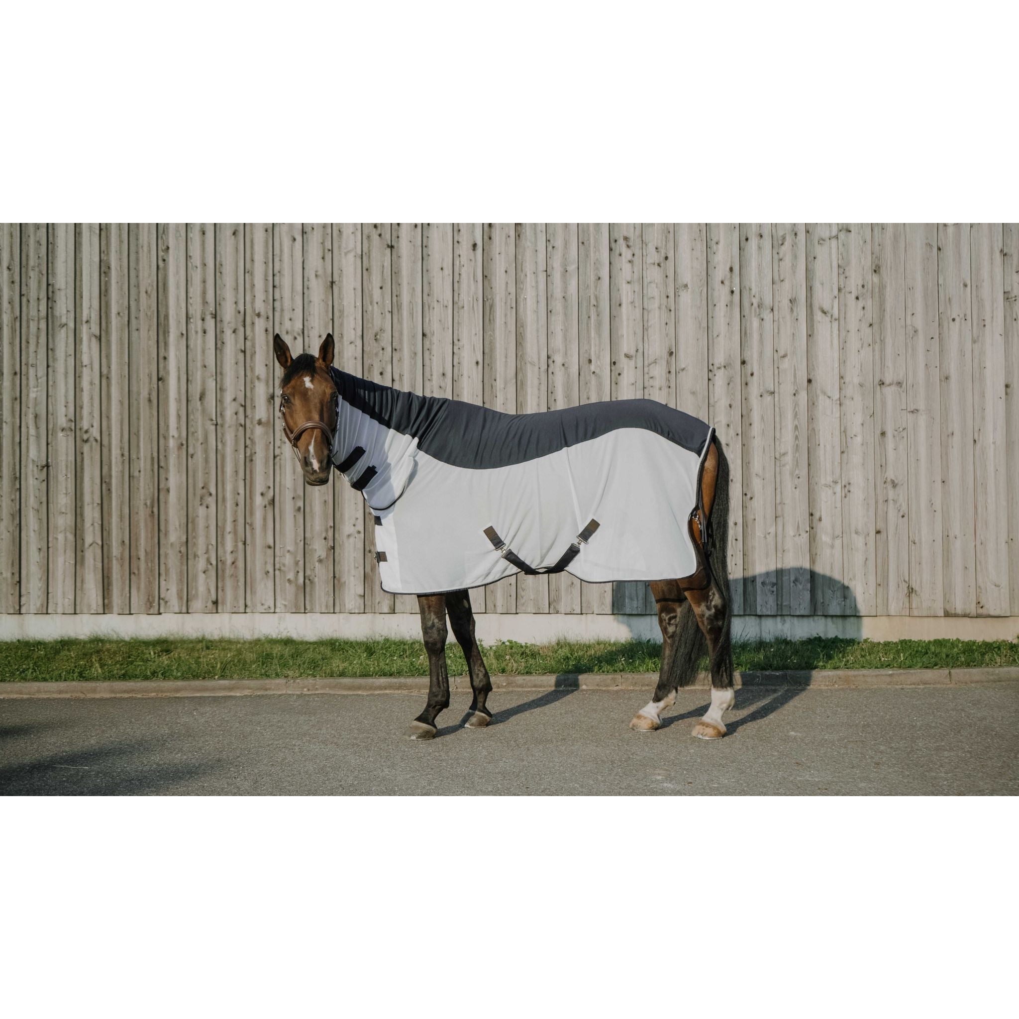 EQUITHEME Flycool Combo Shirt Navy/white - 400004063_ambi_1