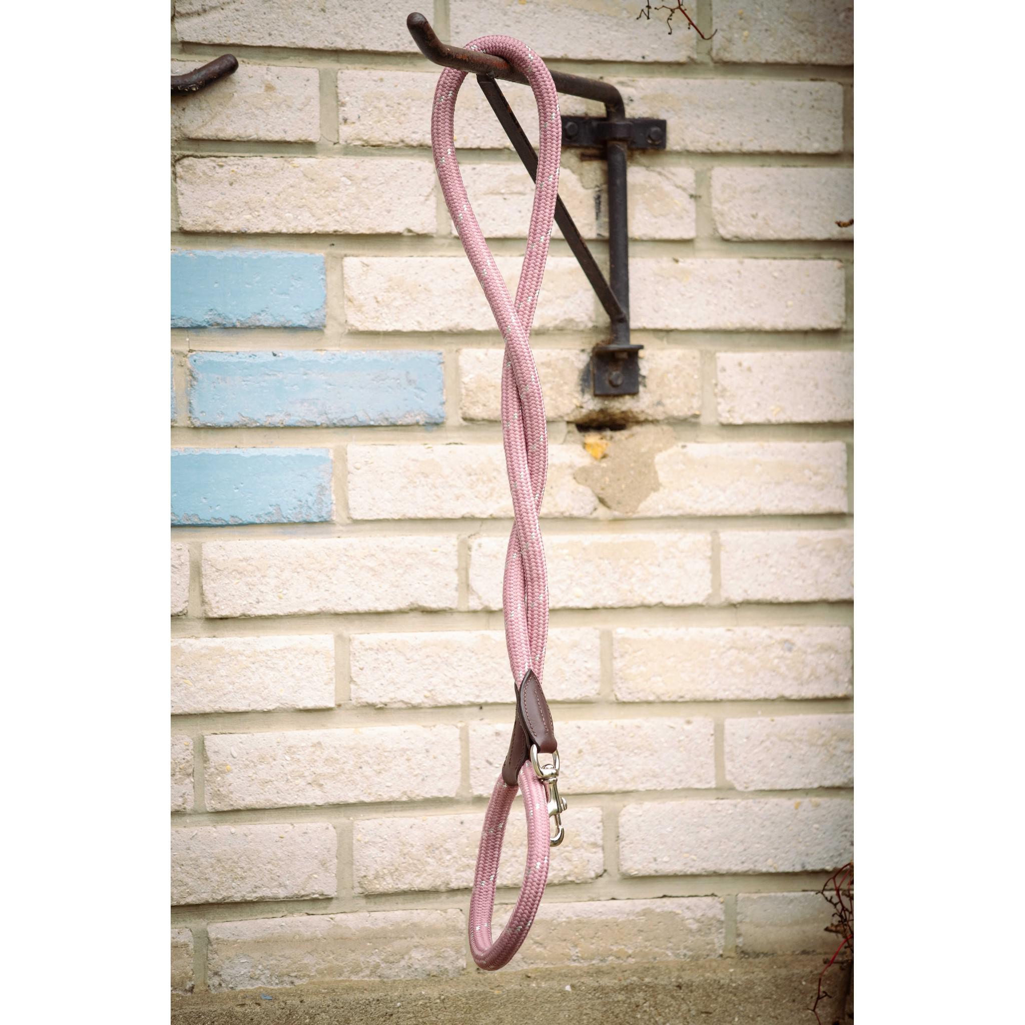 Pénélope Billie Dog Leash Pink 409952013