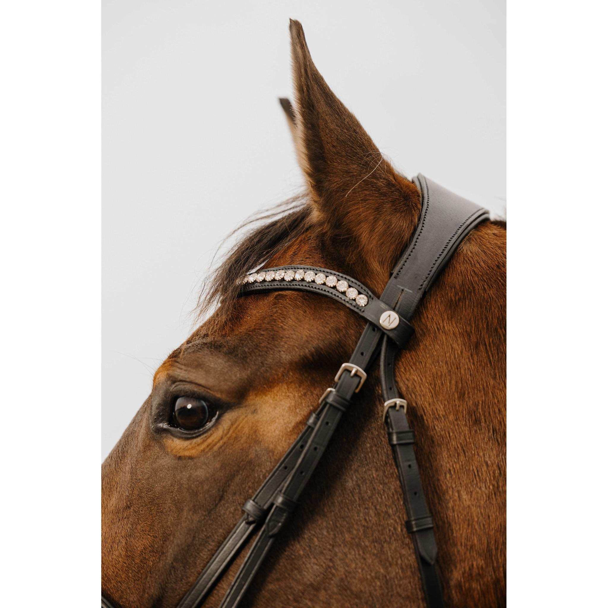 Norton Club Diva Bridle Black 301914302