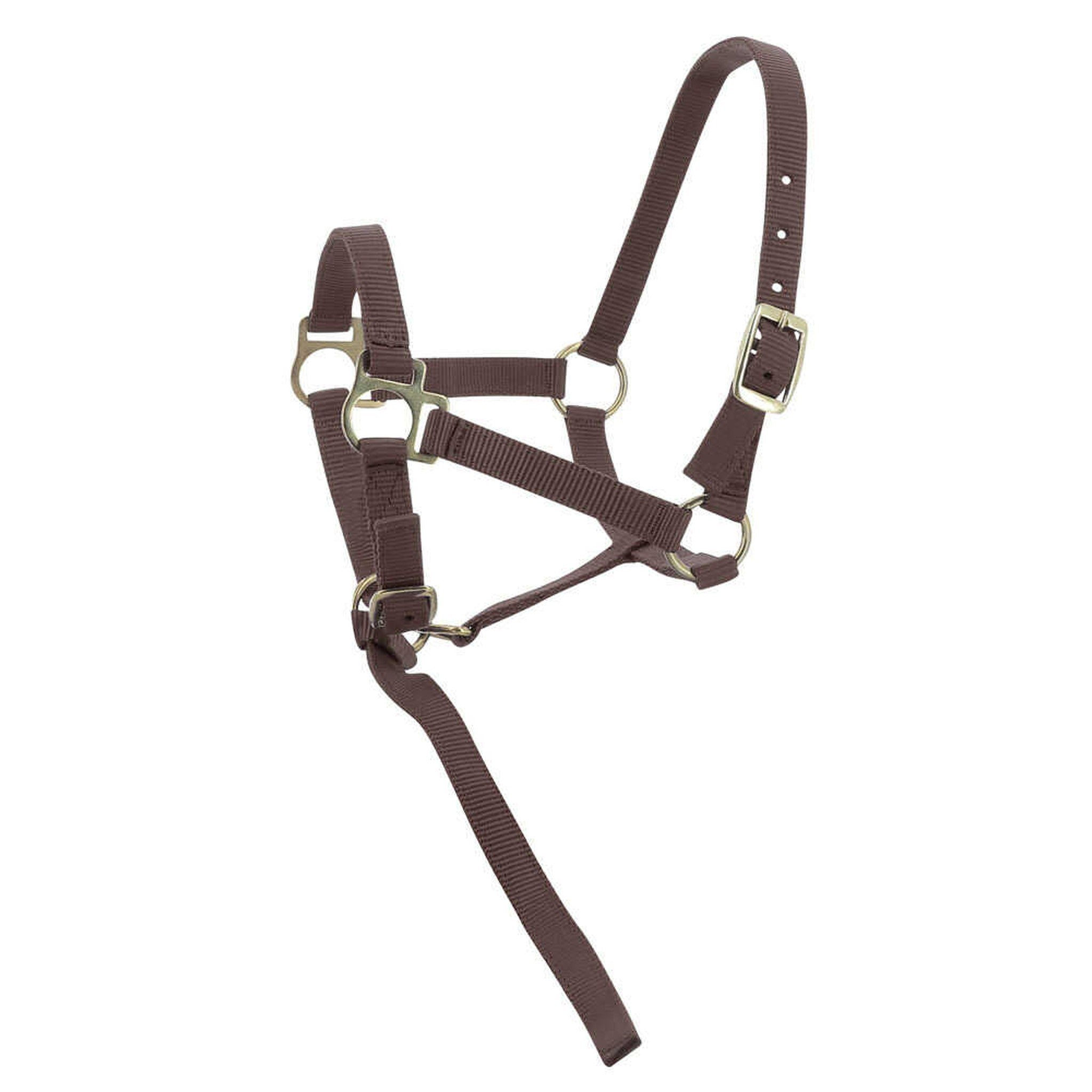 Norton Nylon halter foal Brown 510038004