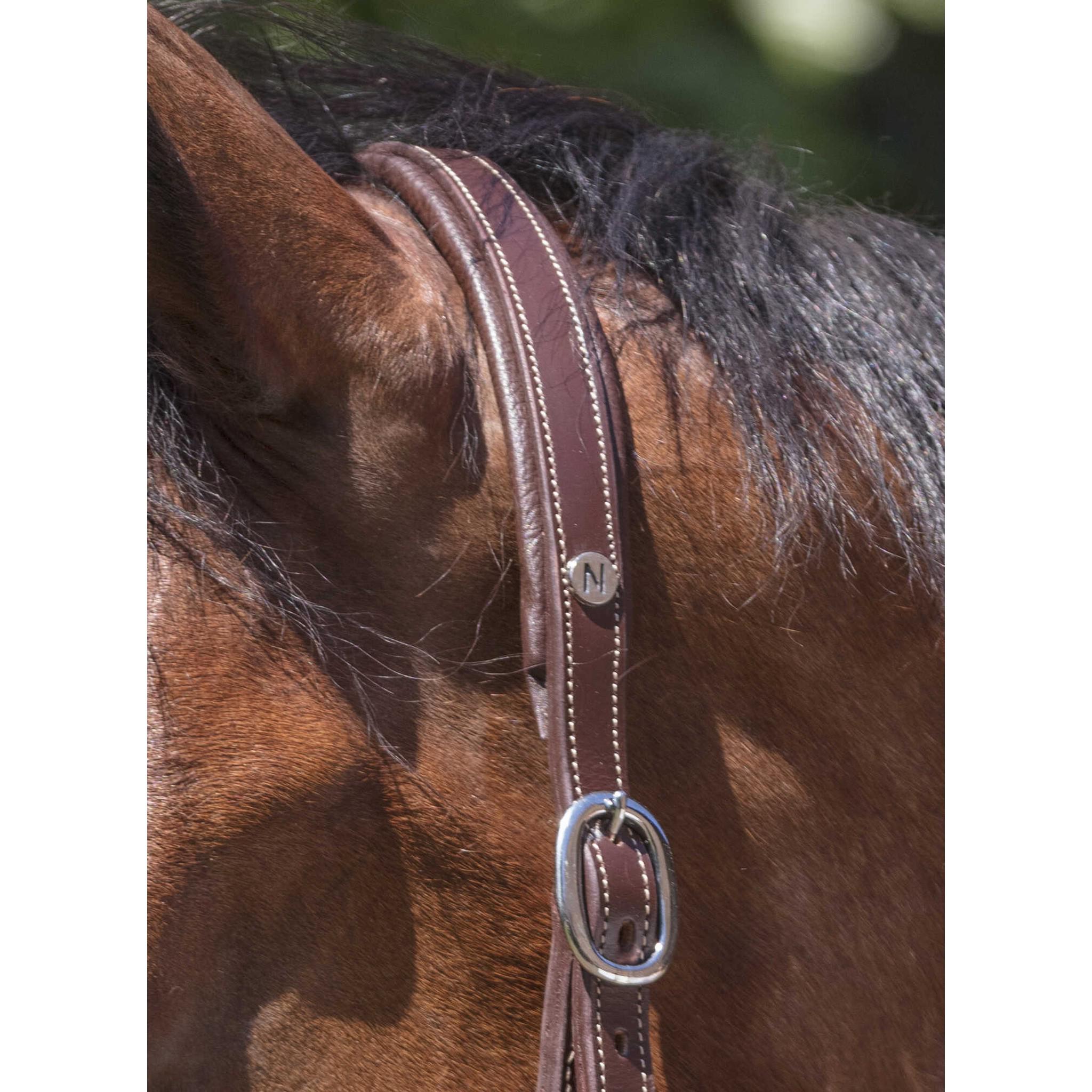 Norton Pro Grooming Leather halter Havana 510306318