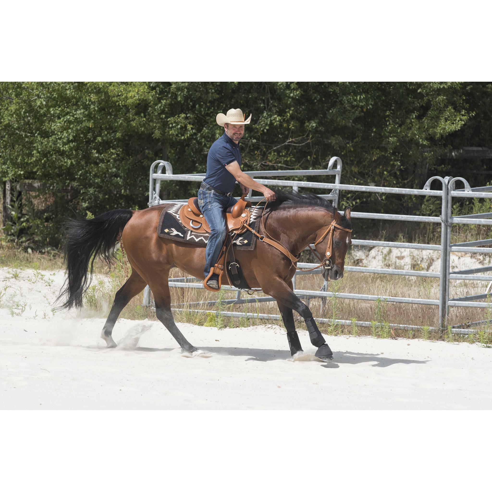 Westride Aurora Saddle by Franck Perret Chestnut 800043016