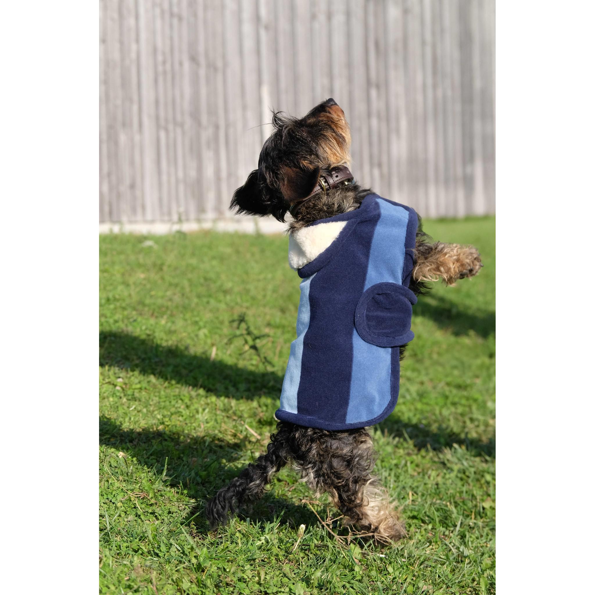 EQUITHÈME New Market Dog Rug Navy blue 409033740