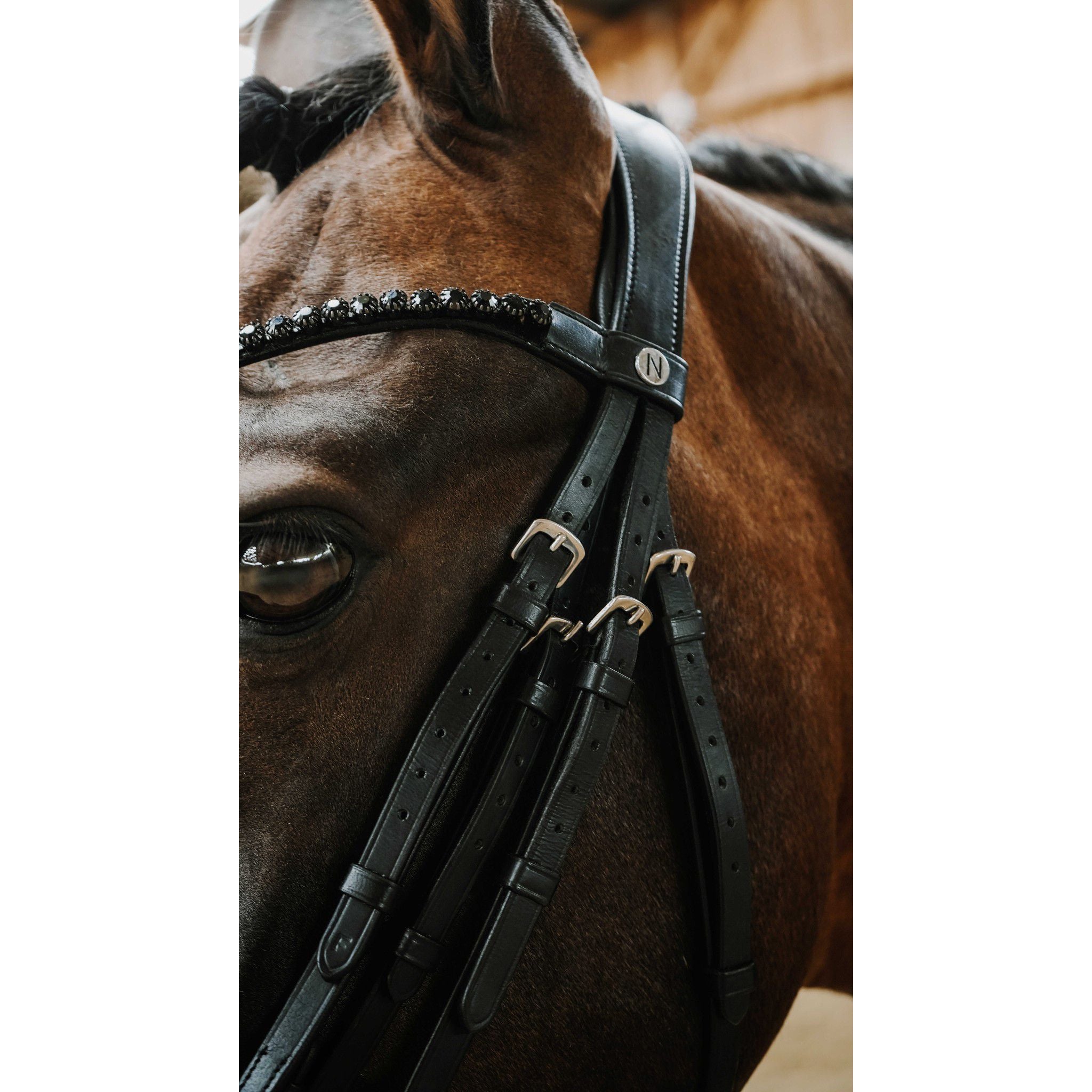 Norton Onyx Bridle Black 303007302