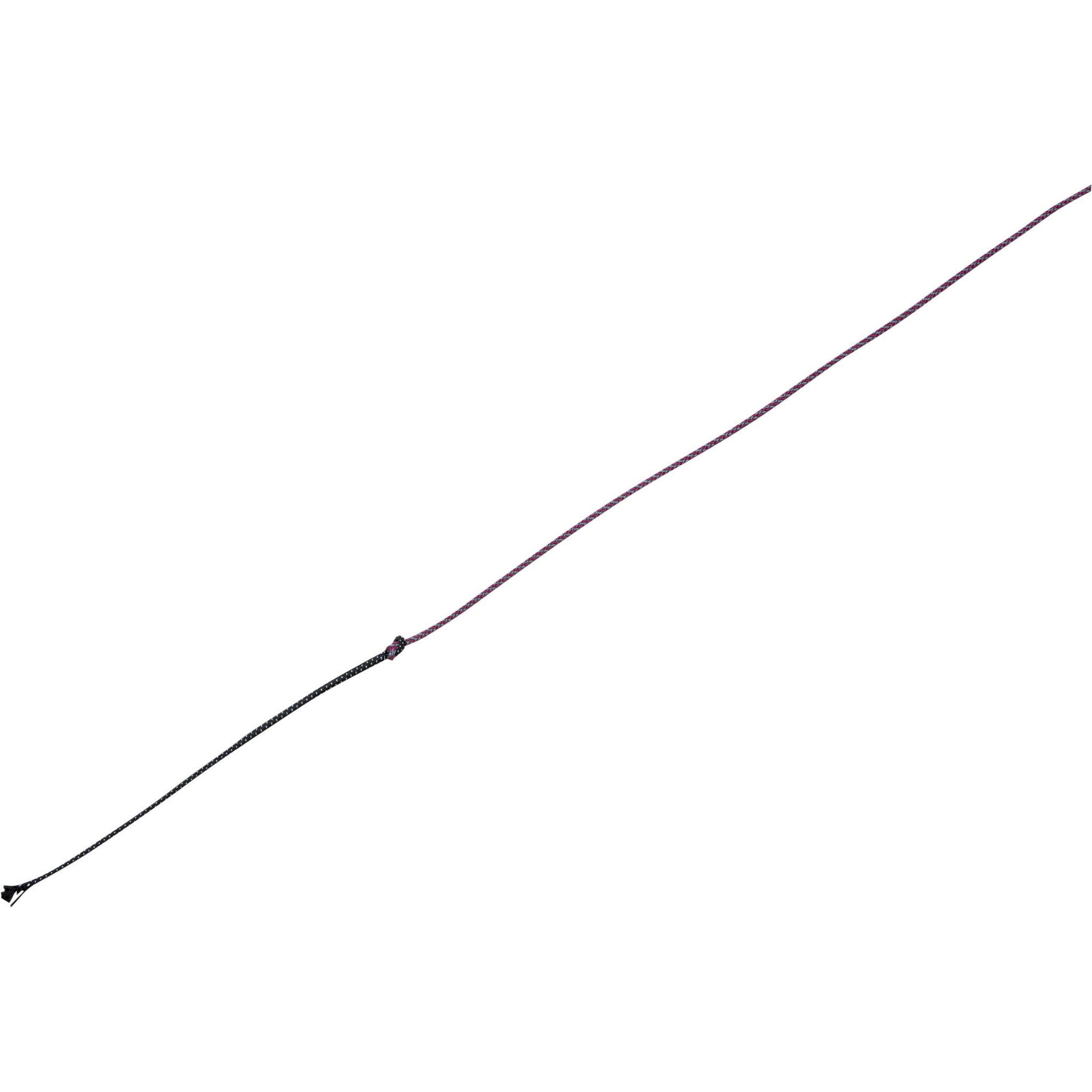 WHIP & GO - Tourillon - Lunge Whip Burgundy/grey 953401033