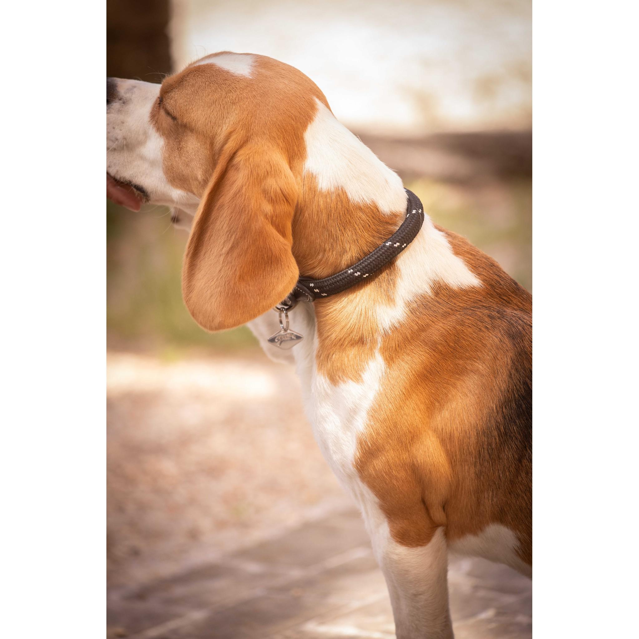Pénélope Billie Dog Collar Black 409826240