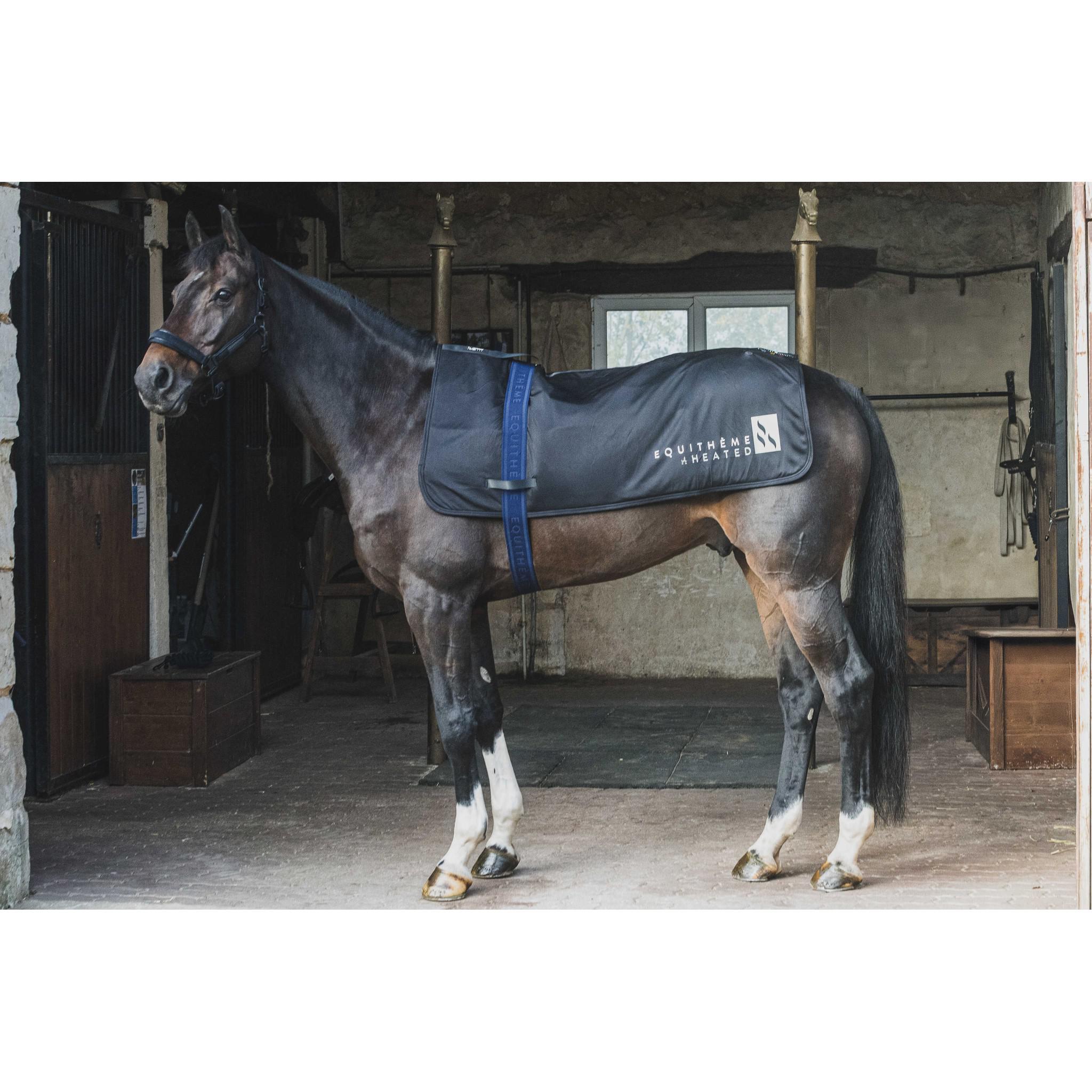 EQUITHÈME Heated Back Cover Black 981500201