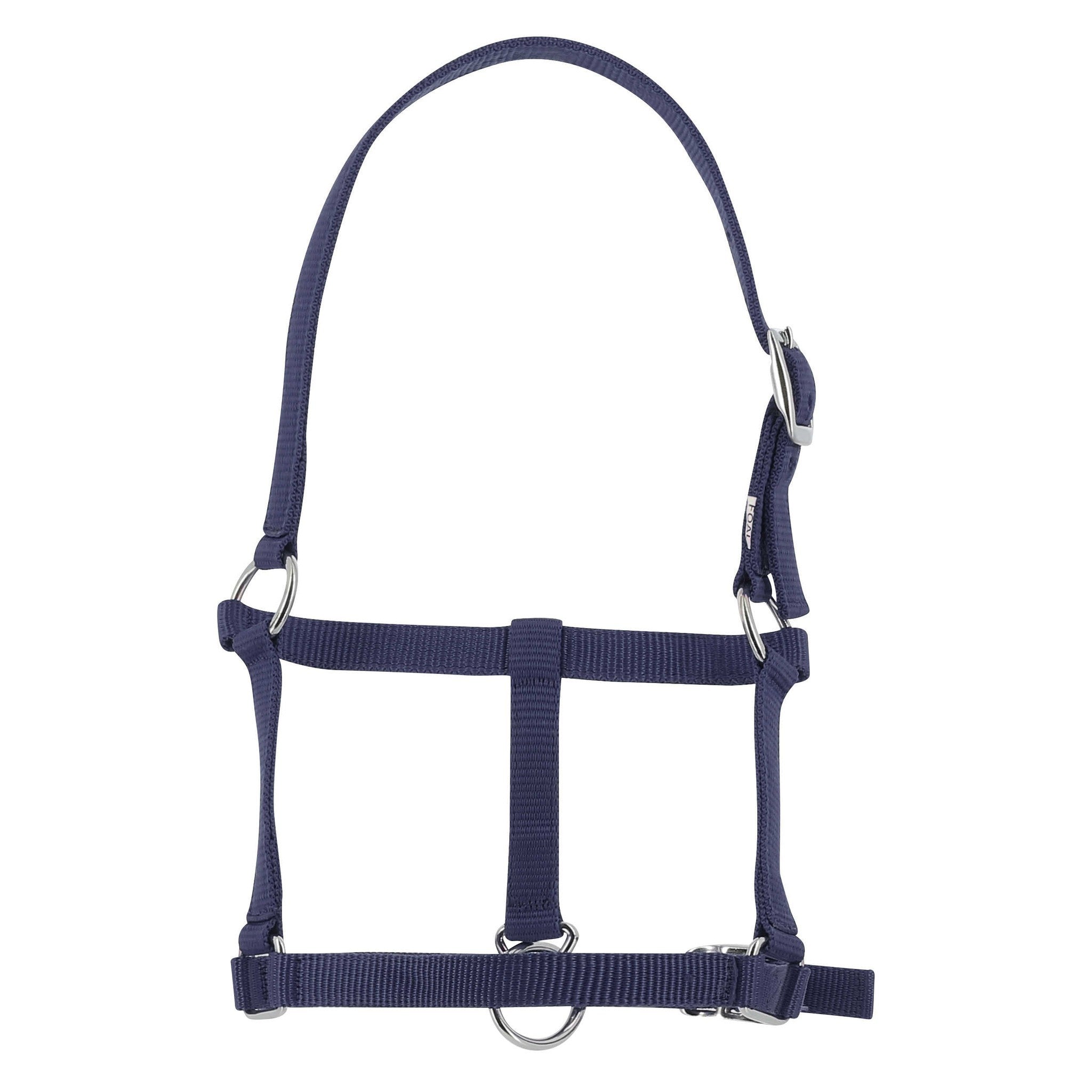 Riding World Foal Halter Navy blue 510241007