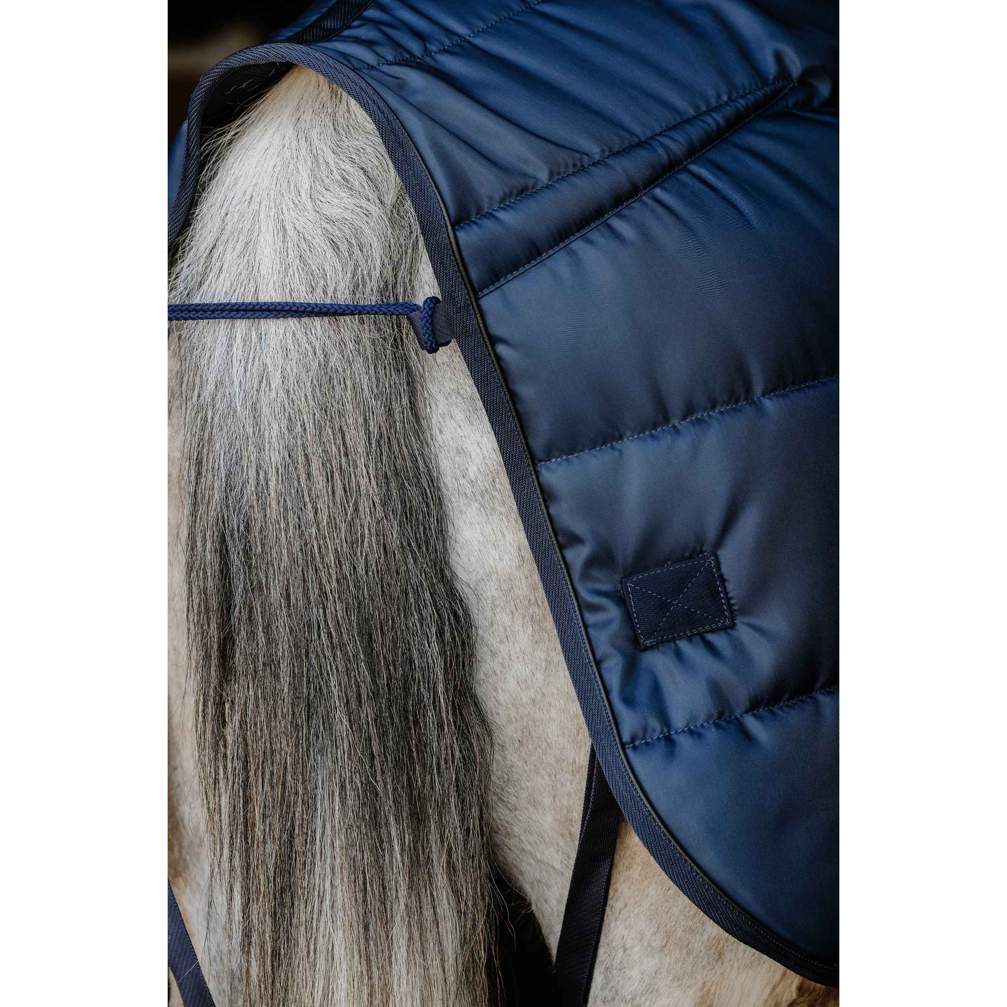 EQUITHÈME Confortech Stable Rug Navy blue 400744063
