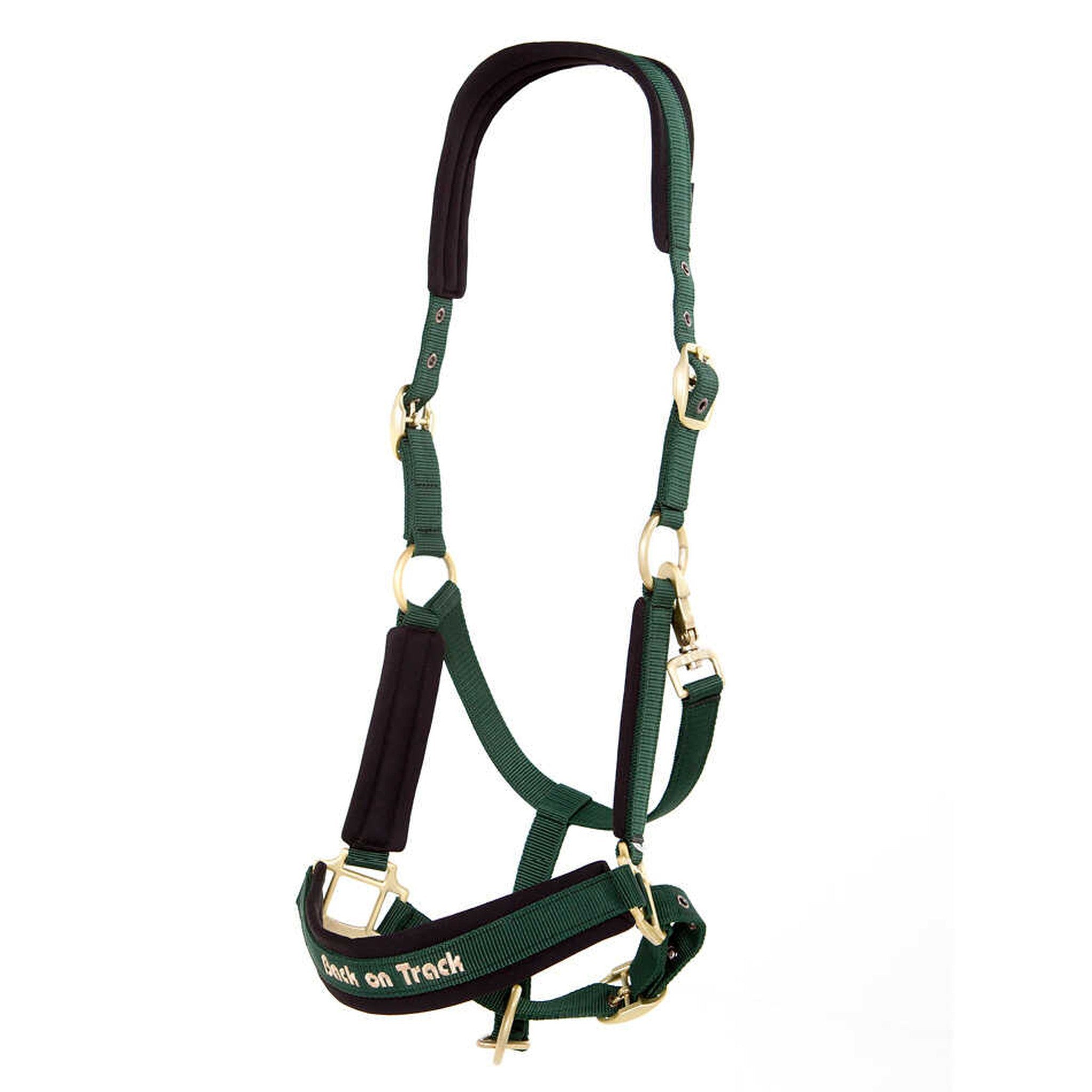 Back on Track Werano halter Green b20641103
