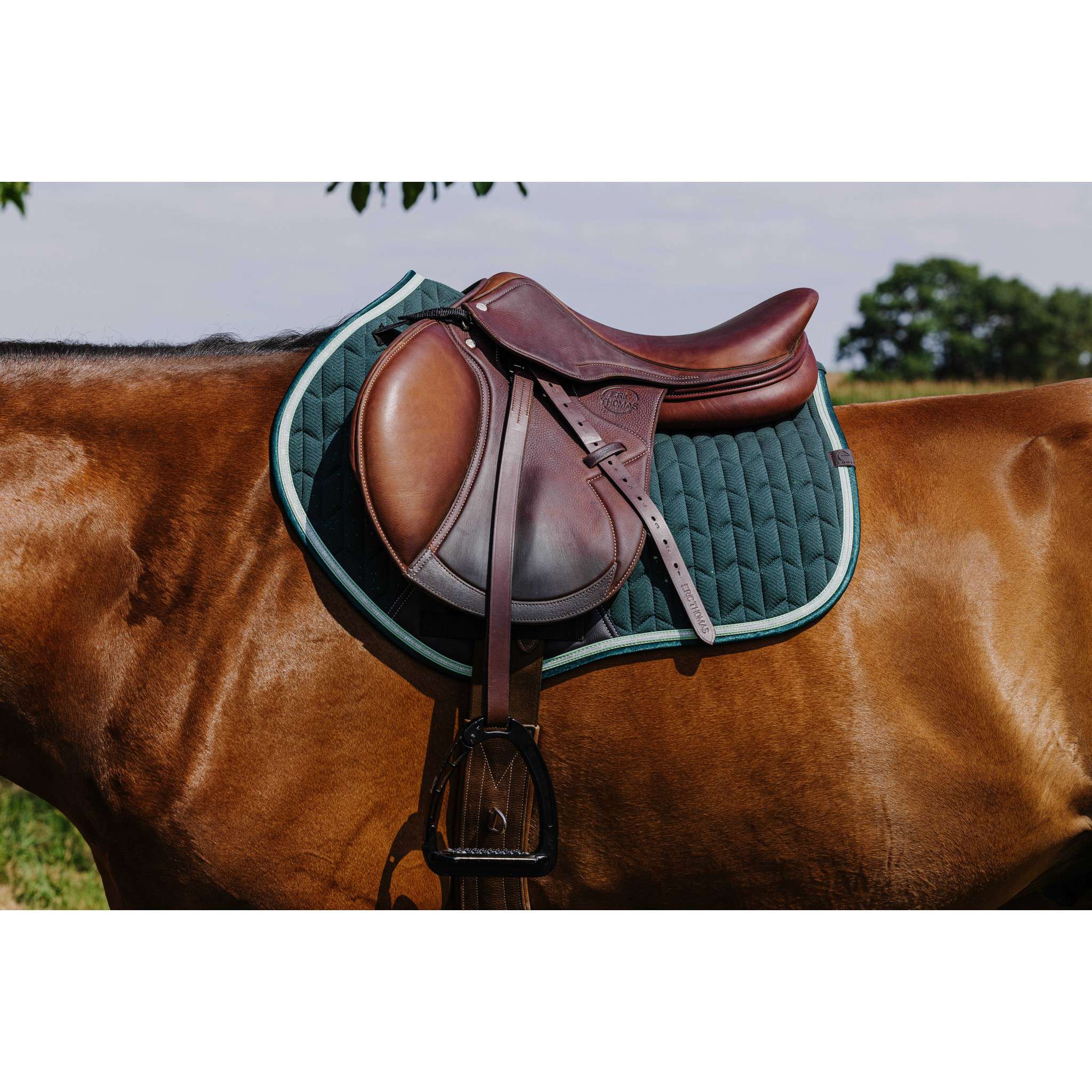 EQUITHÈME Éclat Saddle Pad - All purpose Green 204008009