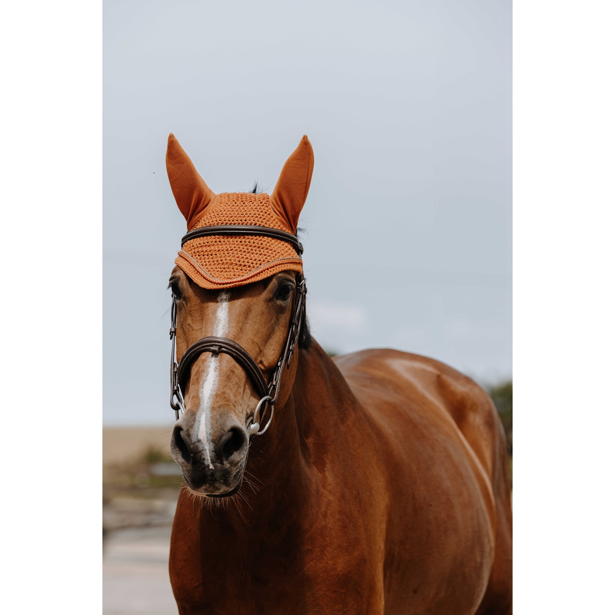 EQUITHÈME Hexalight fly veil Rust 306882024