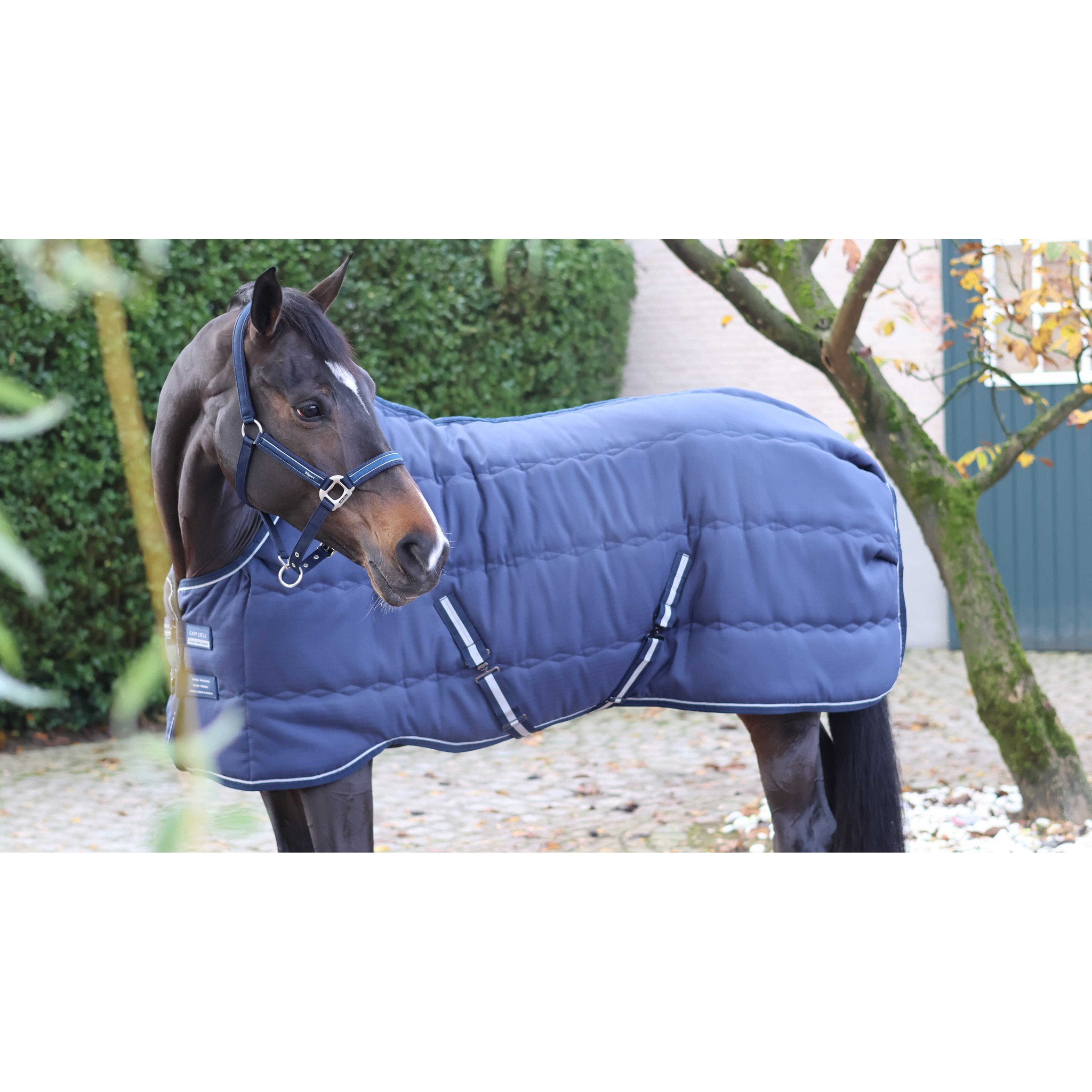 Lami-Cell Stable Master Stable Rug Navy blue 400766060