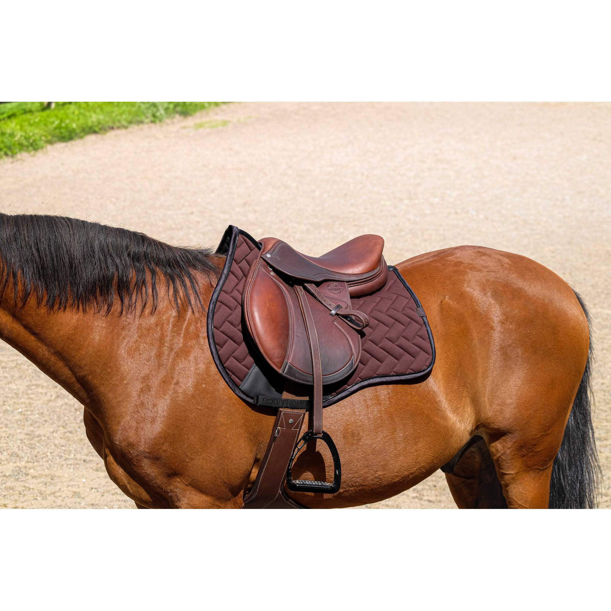 EQUITHÈME Impulsion Saddle Pad - All purpose chestnut brown 204006004