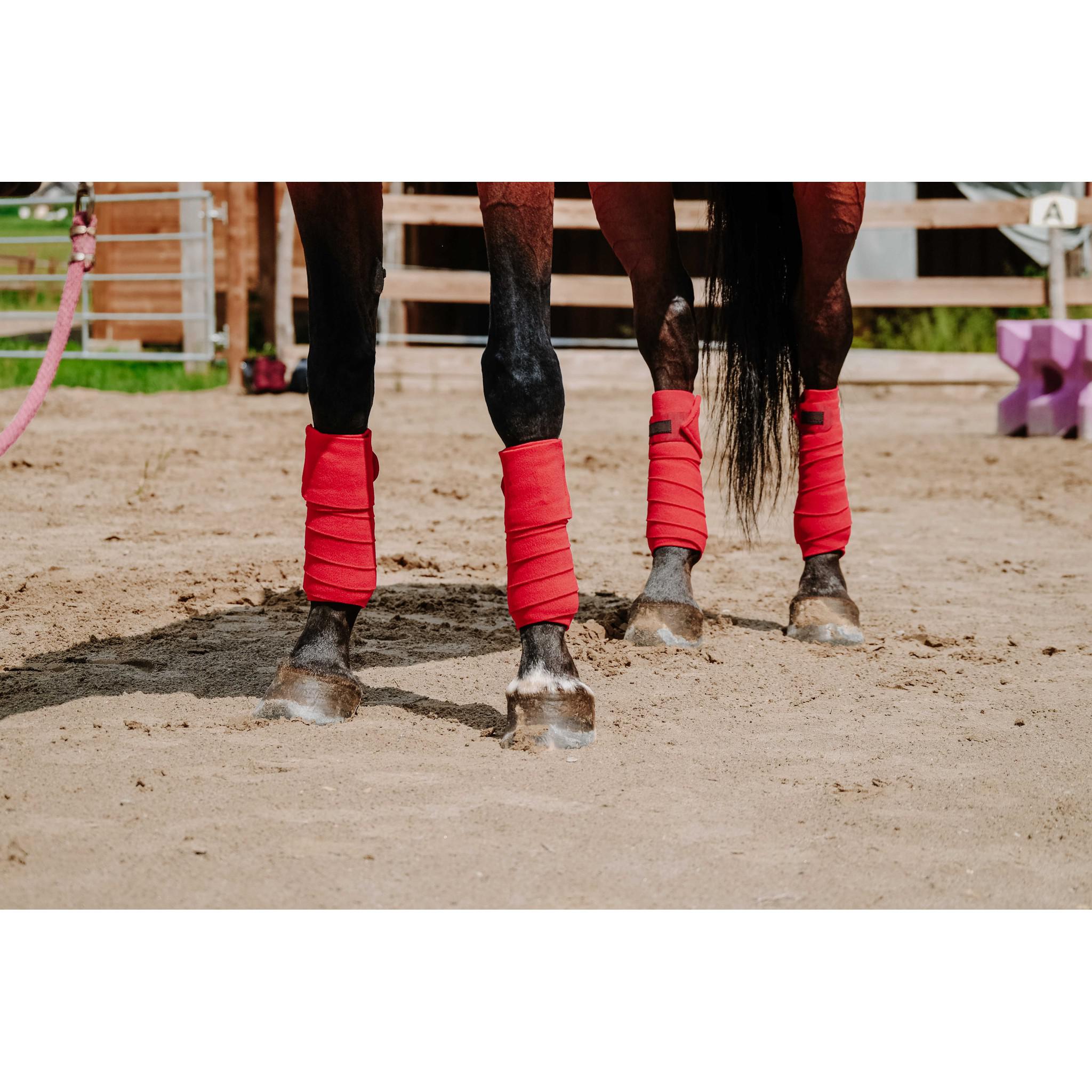 EQUITHÈME Polo Wraps Red 540068003