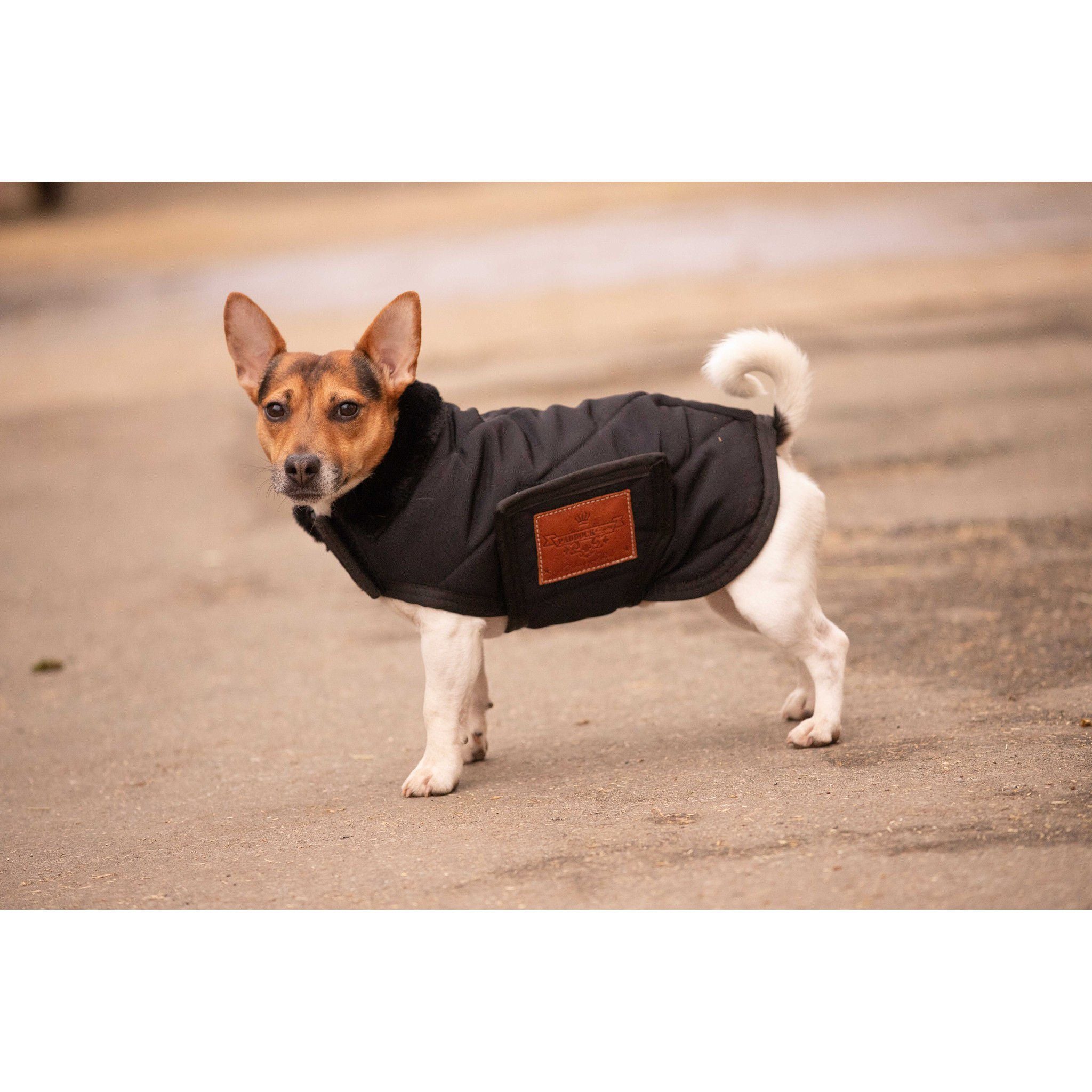 Paddock Sports Diagonal Dog rug Black 409850230