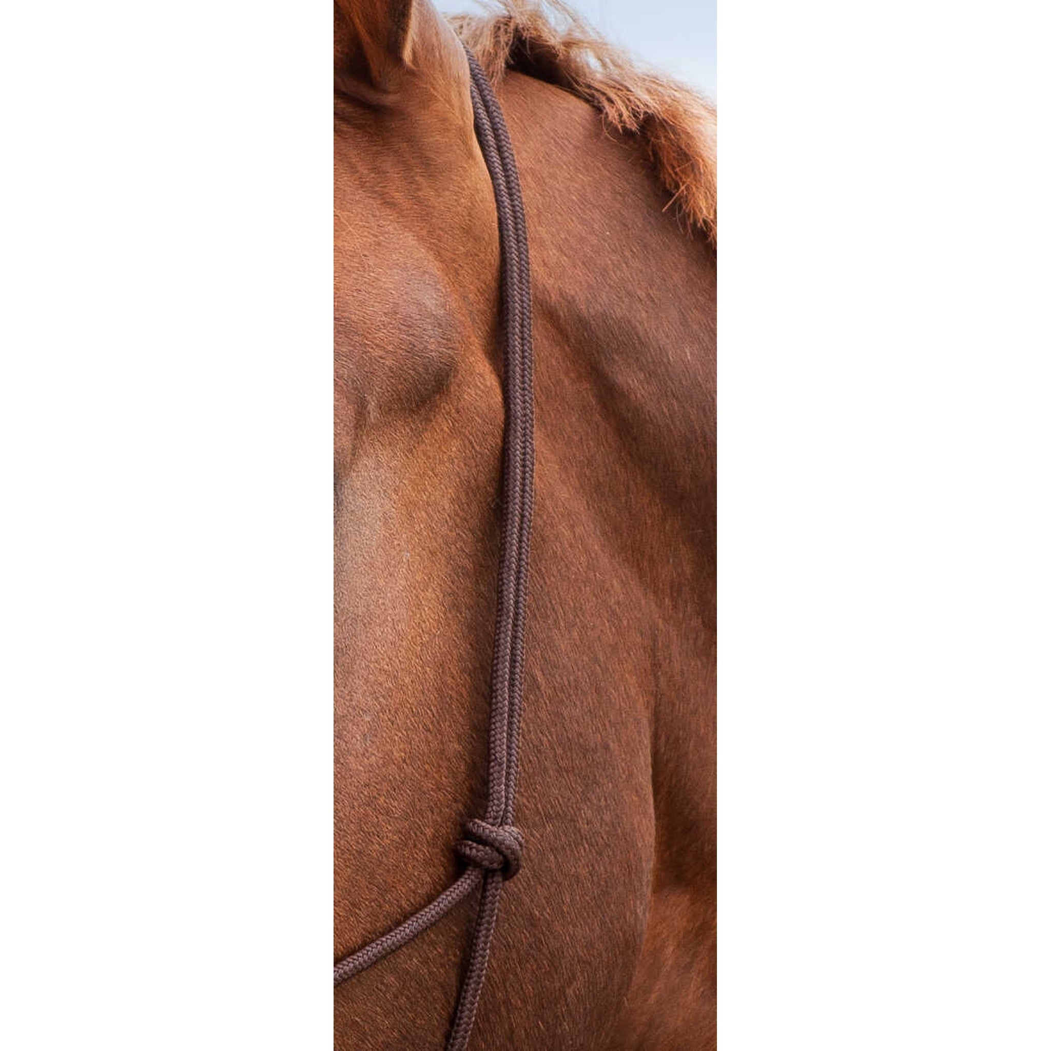 Norton Soft ethological halter Brown 510156004