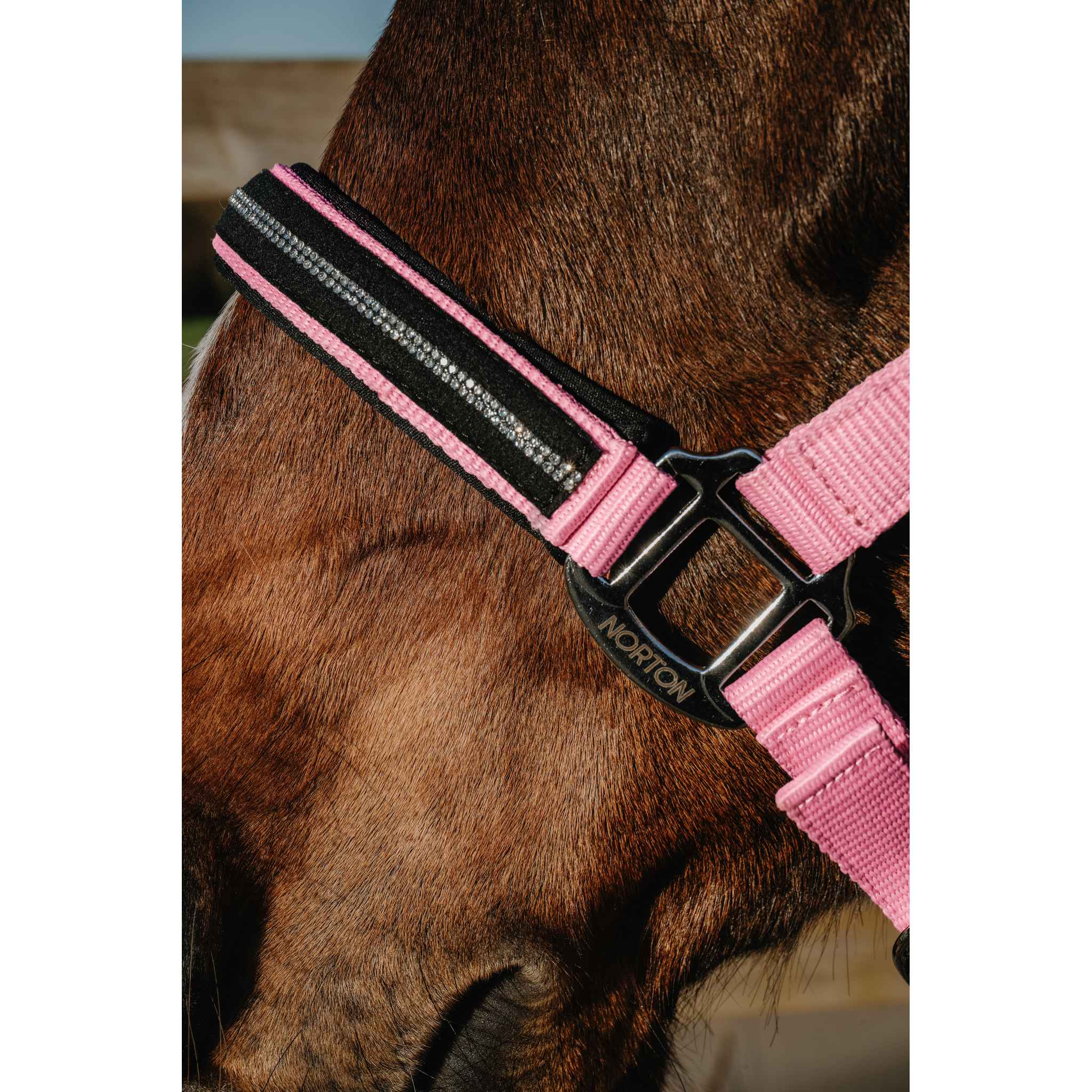 NORTON Crystal Halter Pink - 510278313_ambi_2