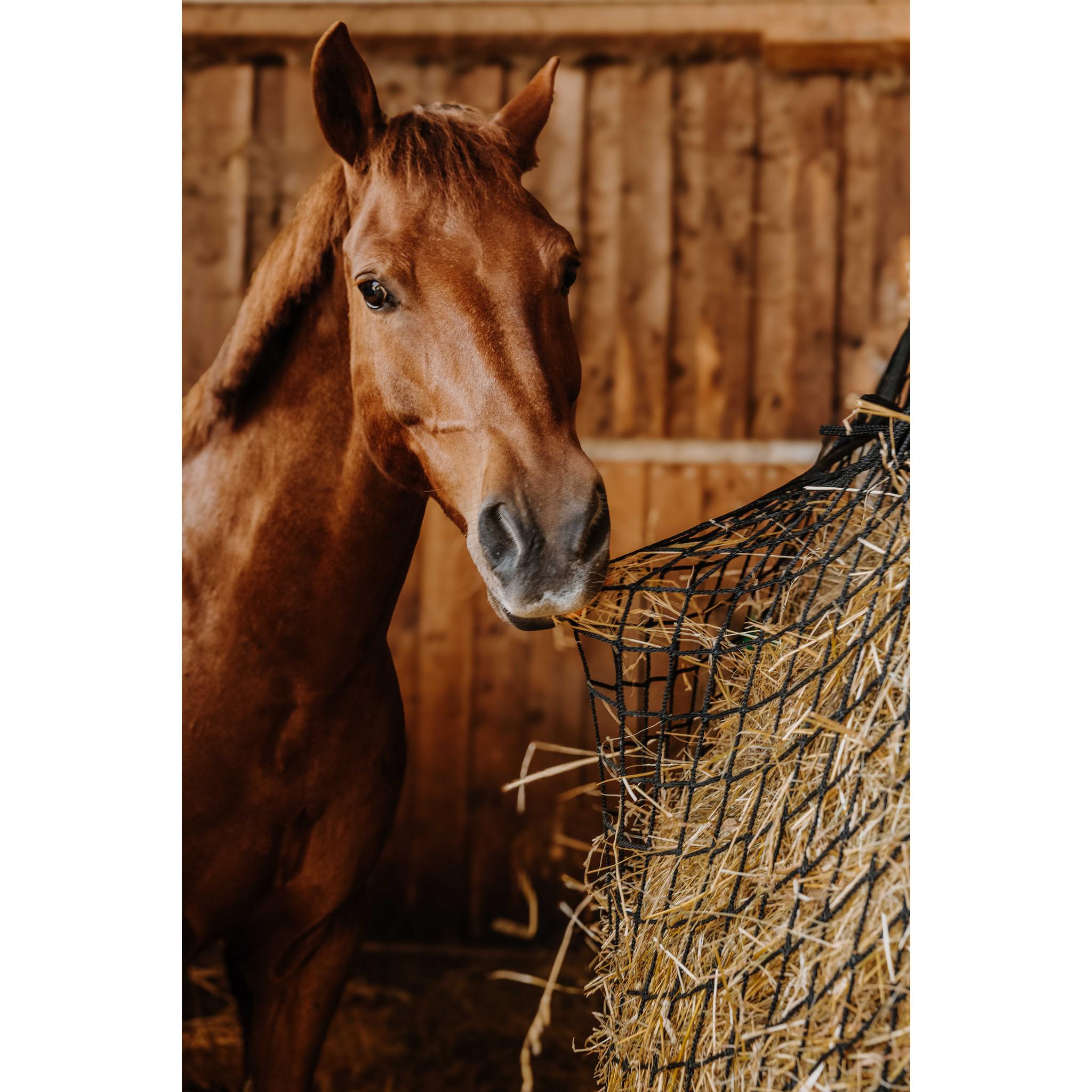 Hippo-Tonic Rectangle Hay Net Black 306846002