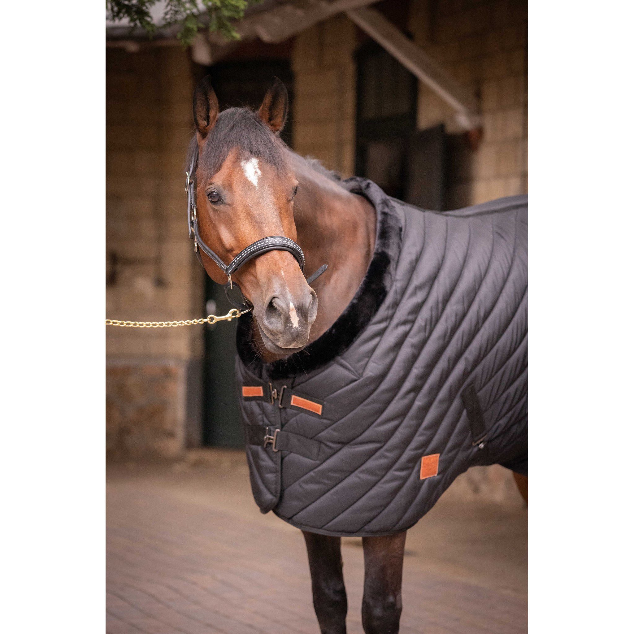 Paddock Sports Diagonal Stable Rug Black 400030259