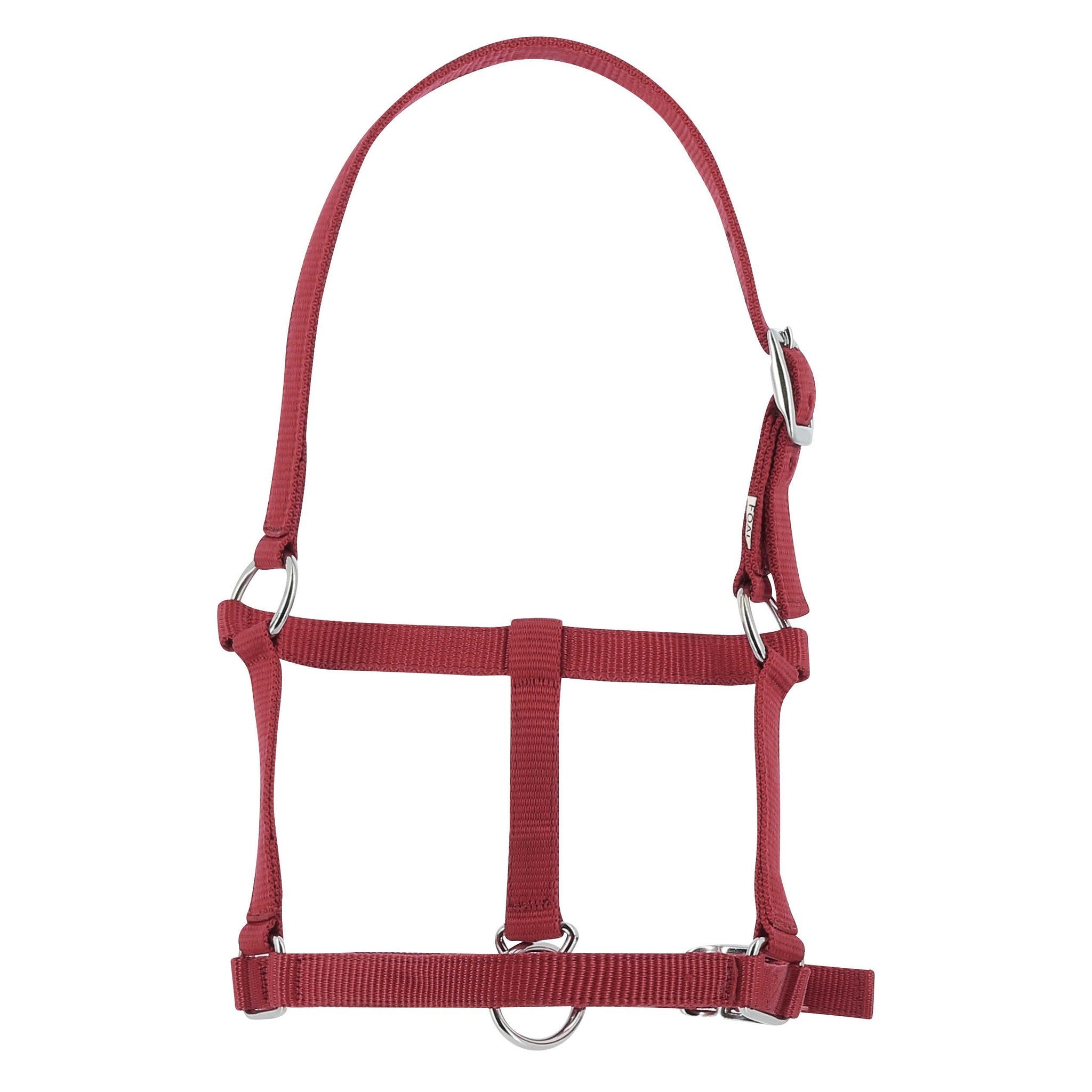 Riding World Foal Halter Burgundy 510241033