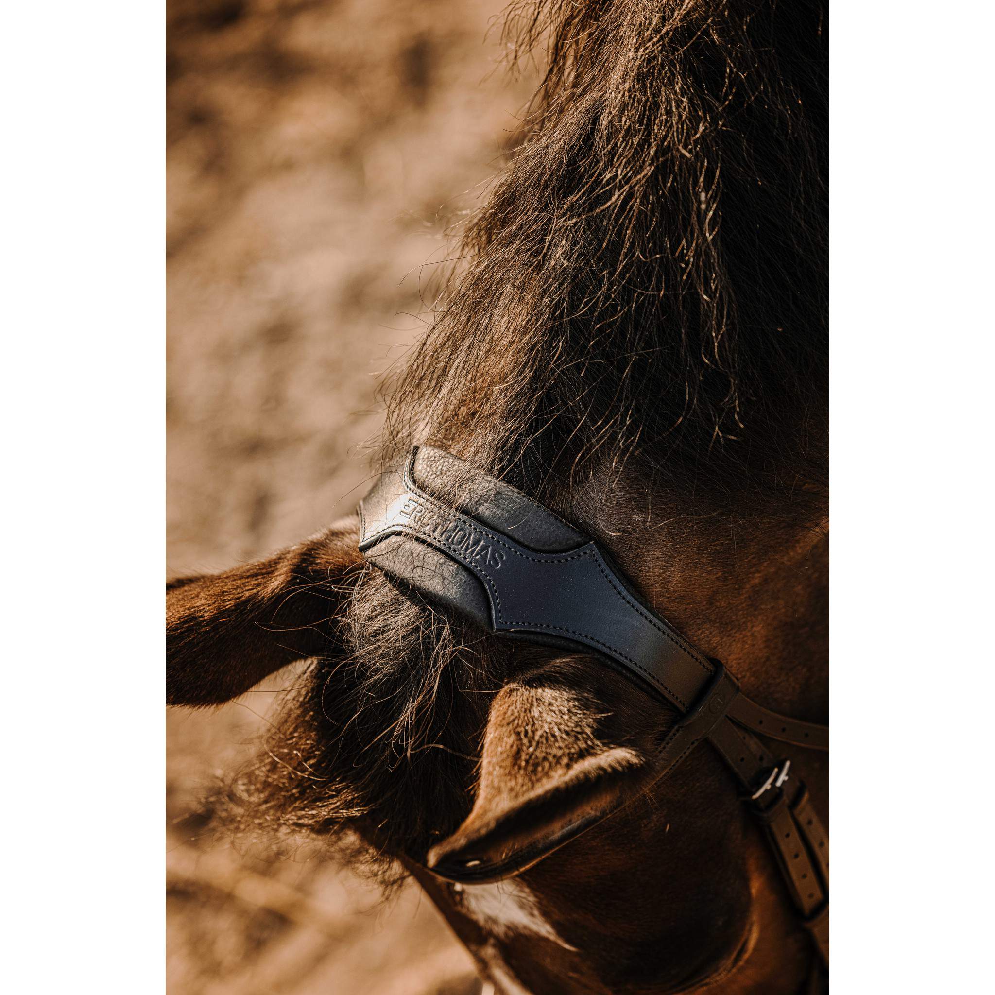 Éric Thomas Bat Bridle Black 301909302
