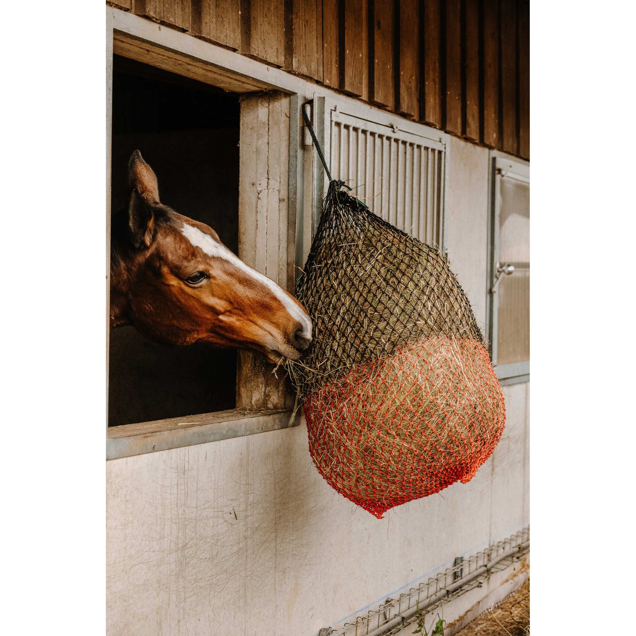 Hippo-Tonic Fine Hay Net Black/red 306834203