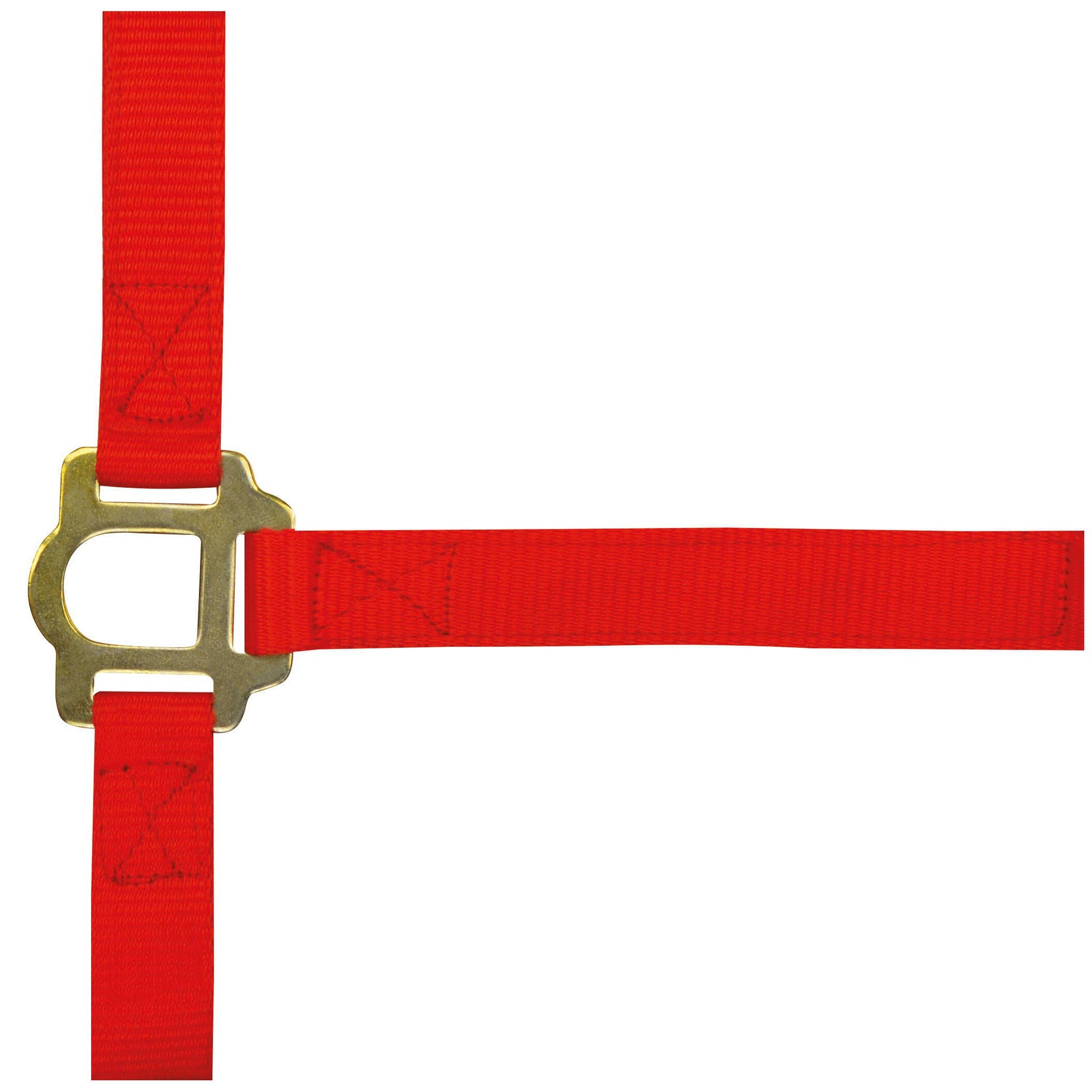 Norton Double thickness nylon headcollar with buckles Red 510041003