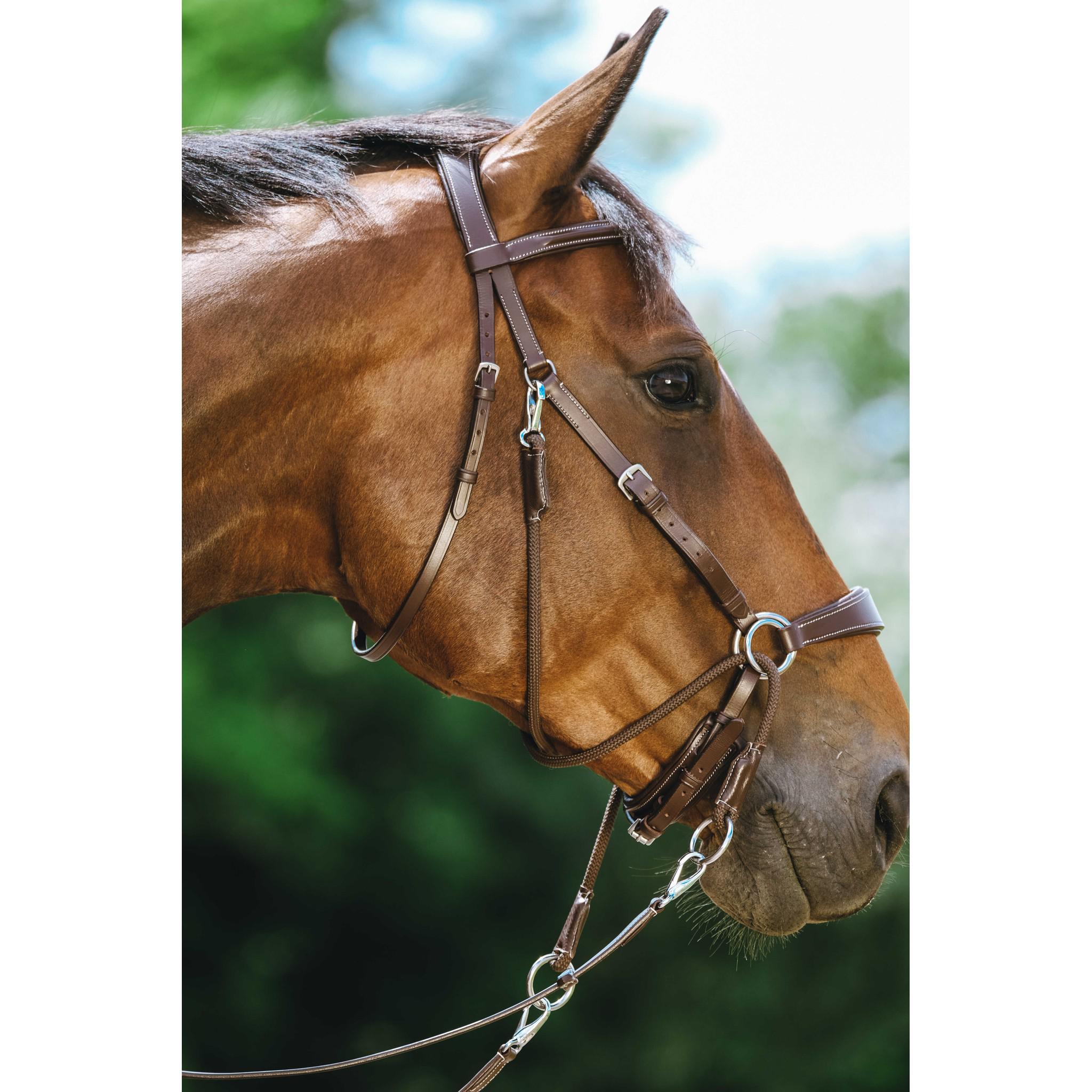 Norton Bitless Bridle Havana 301803318