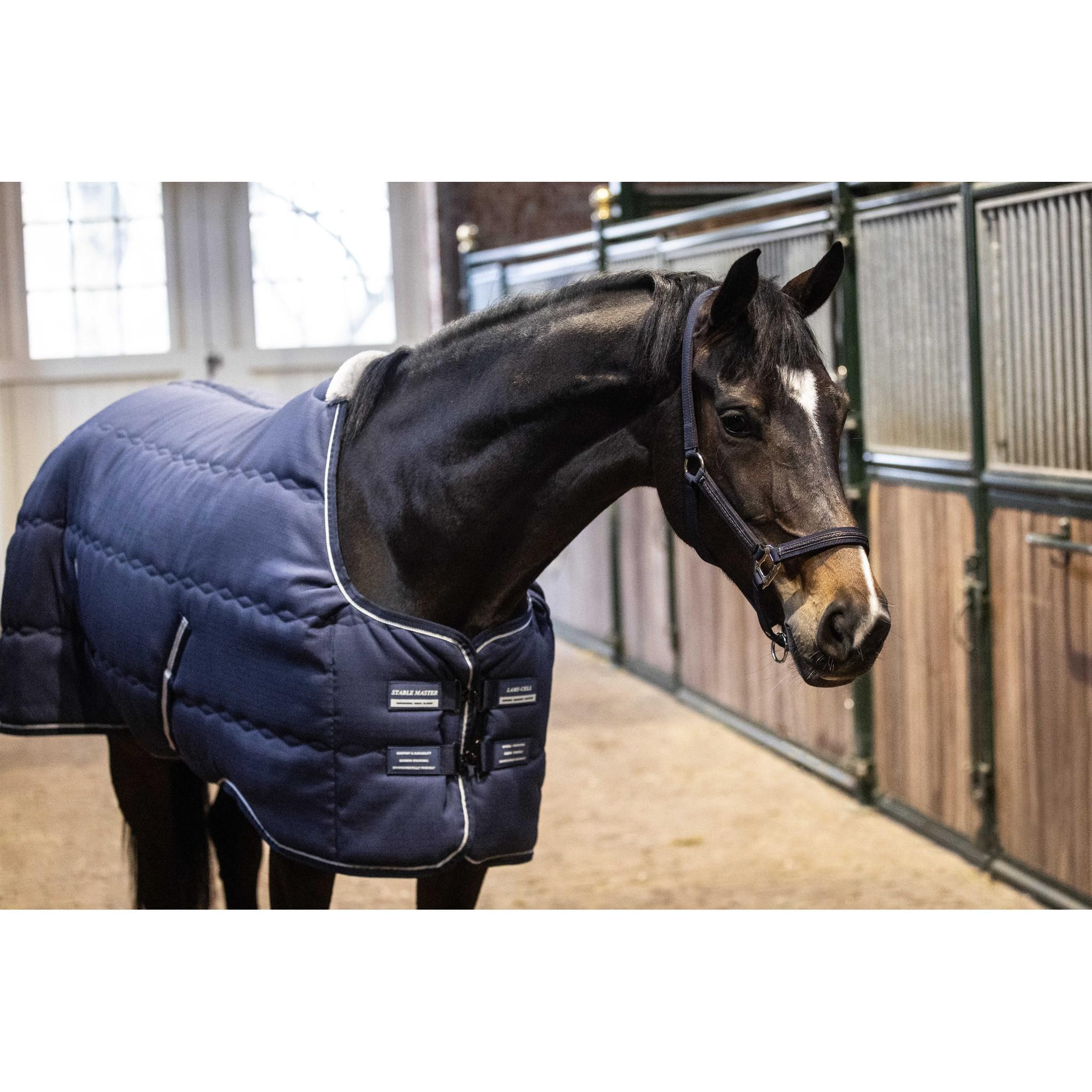 Lami-Cell Stable Master Stable Rug Navy blue 400766060