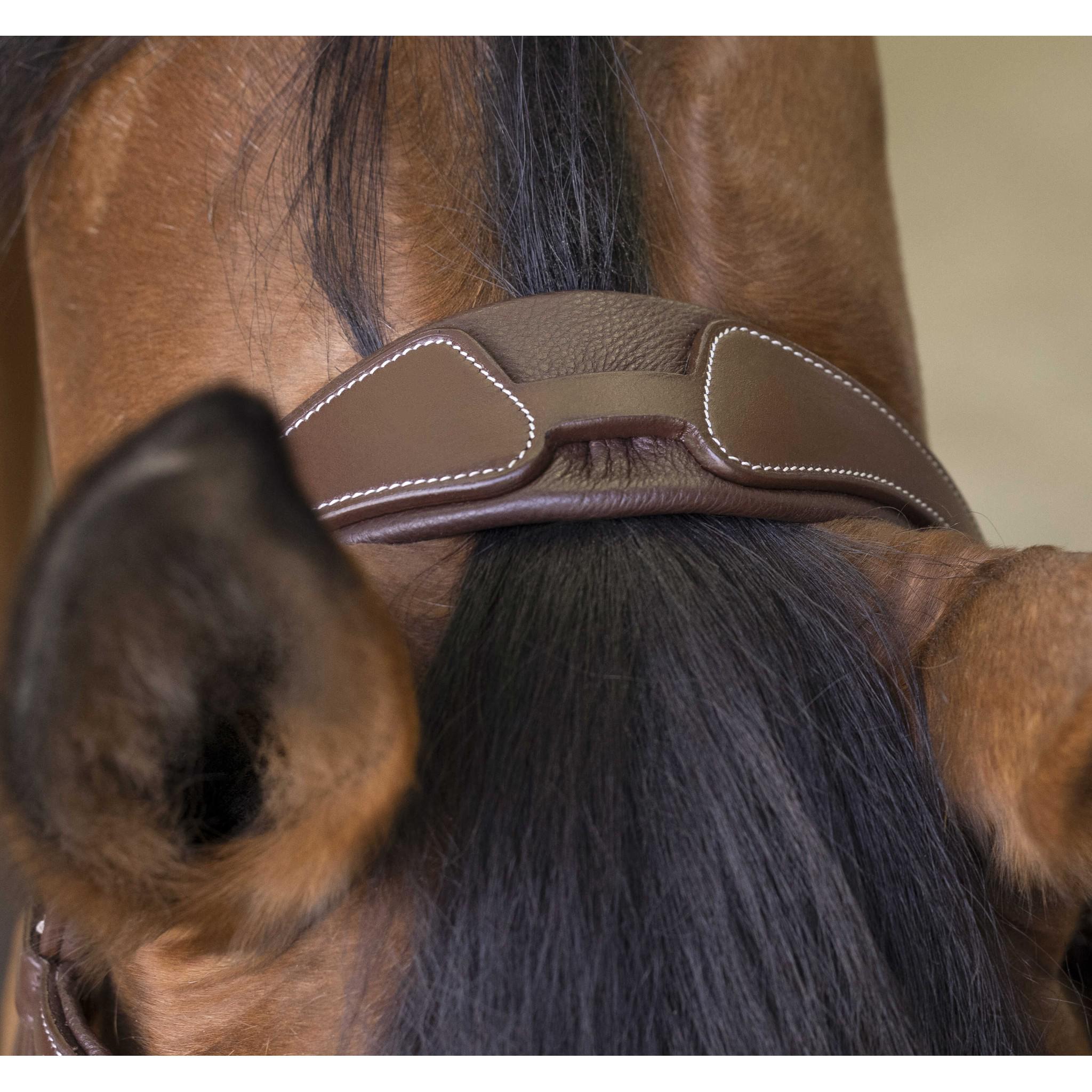 Norton Pro Rock Bridle Havana 301892318