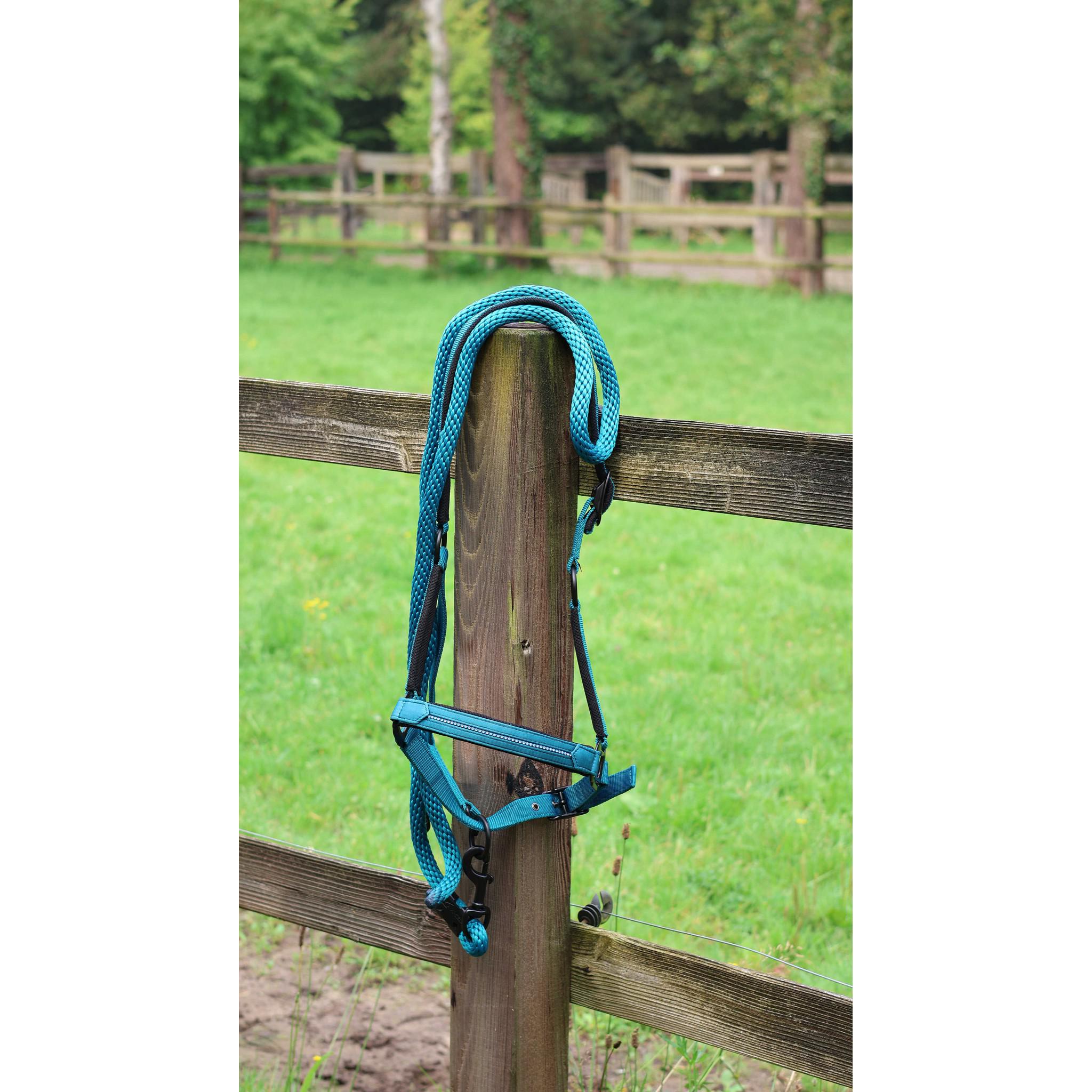 Lami-Cell Charming Lead rope Turquoise 555029017