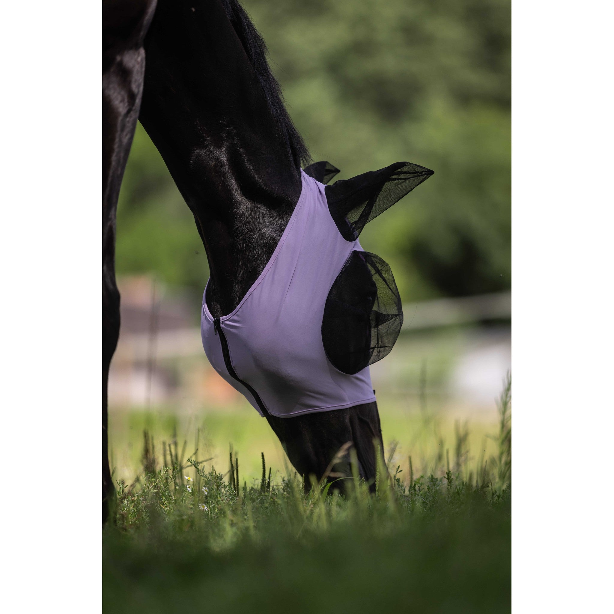 LAMI-CELL Lycra Fly Mask Lilac - 306046216_ambi_5
