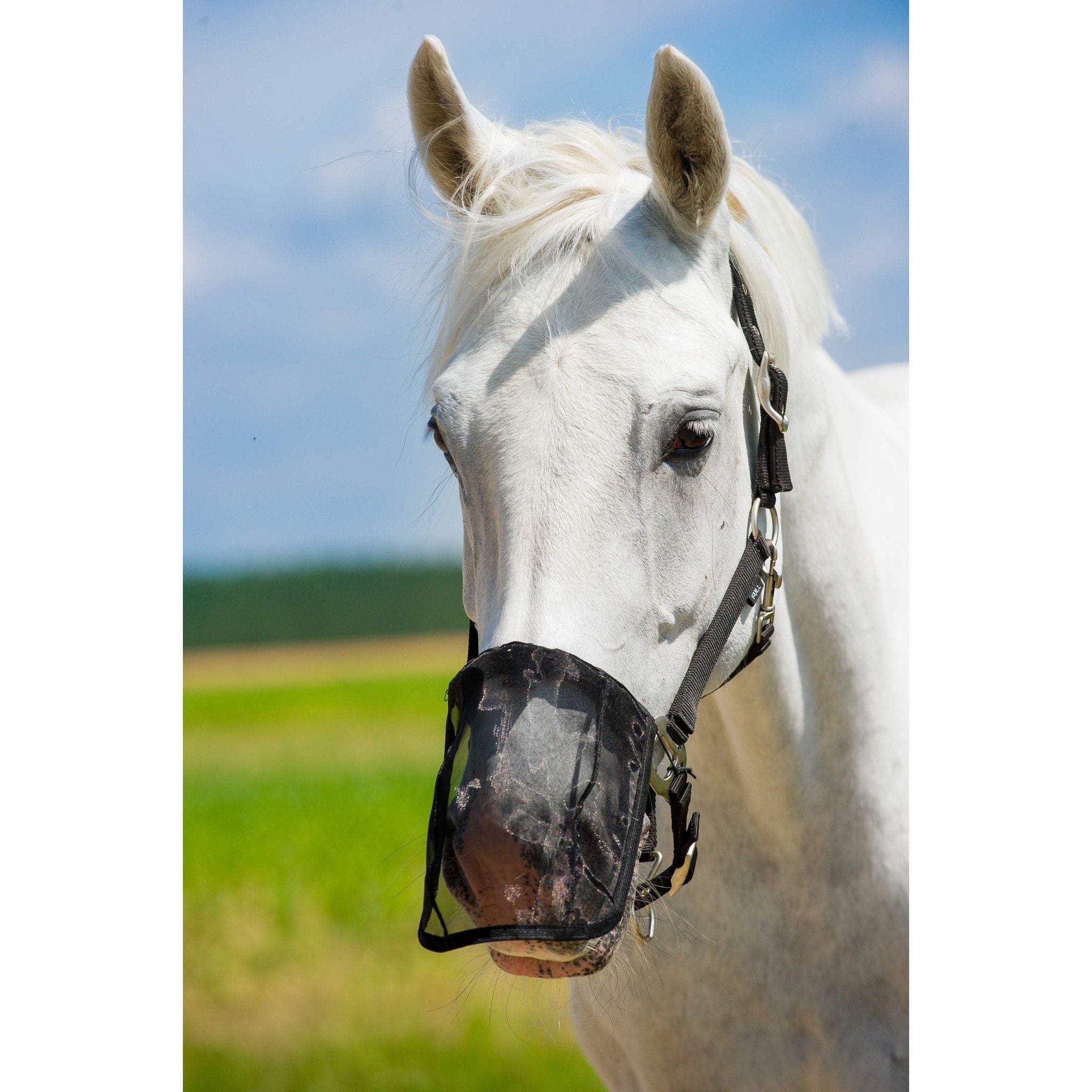 Norton Fly muzzle Black 306960003