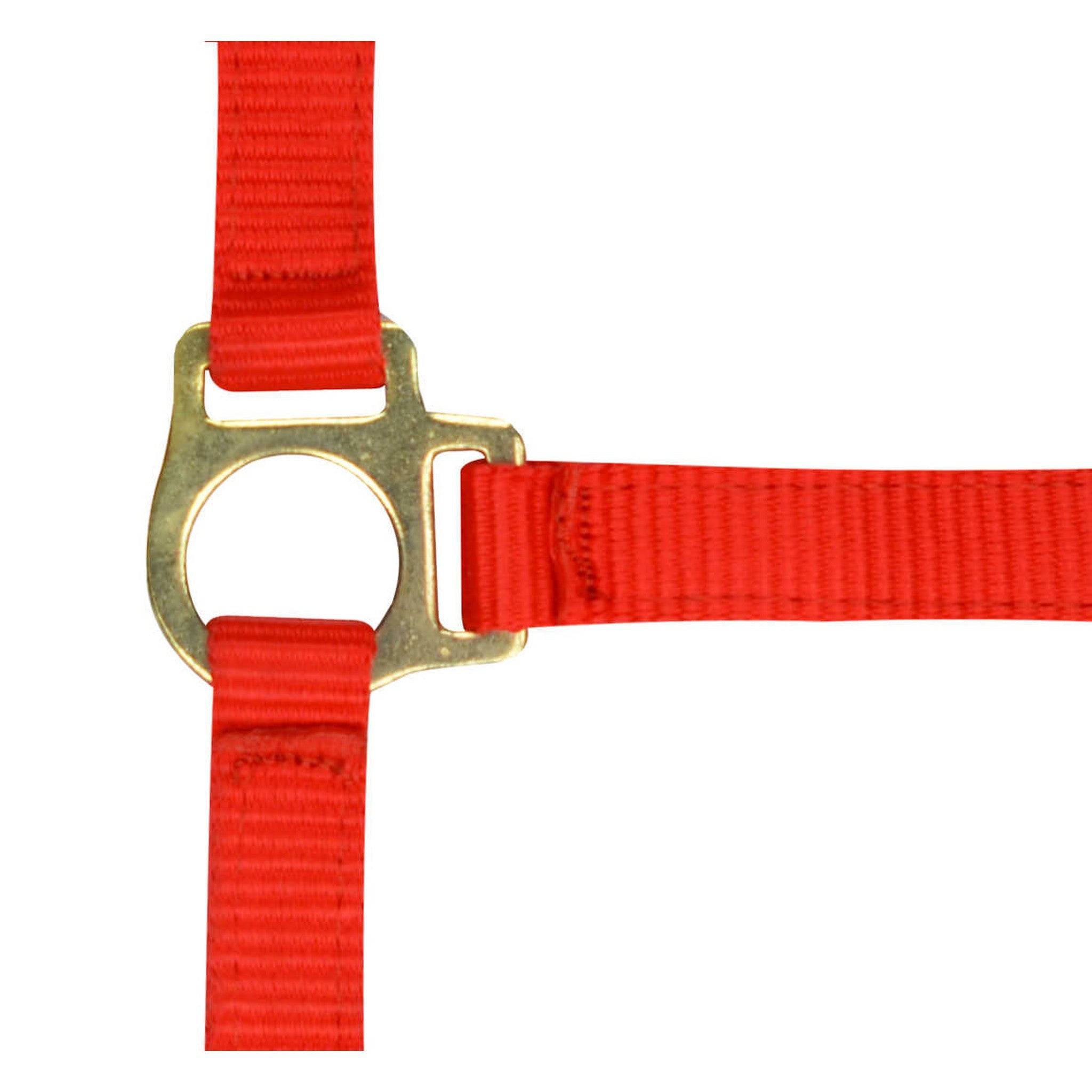 Norton Nylon halter foal Red 510038003