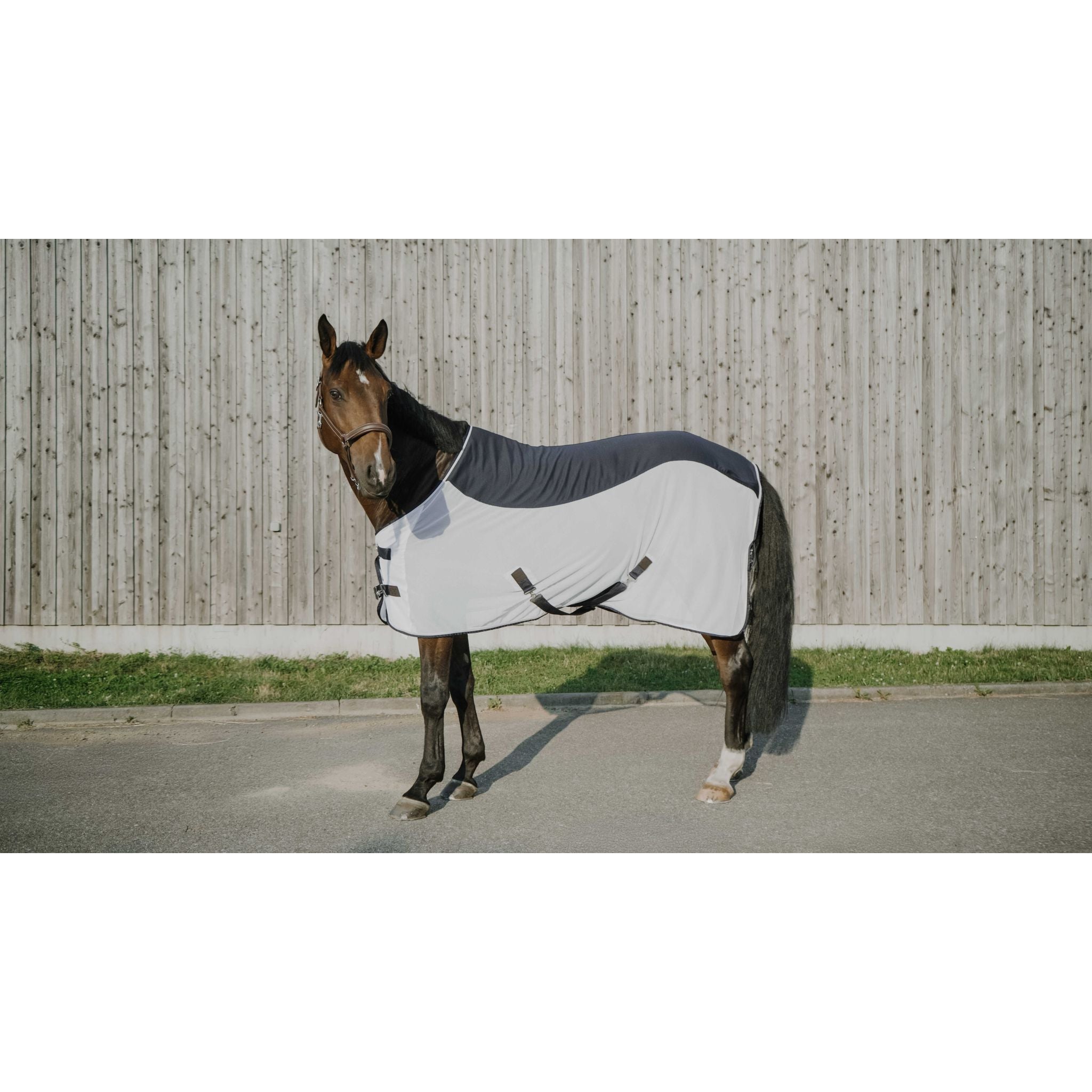 EQUITHÈME Flycool Sheet Navy/white - 400003063_ambi_2