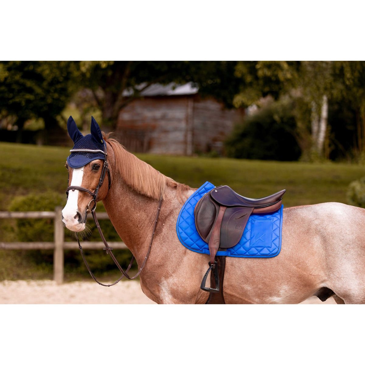K by EQUITHÈME K-Cesar Saddle Pad - Royal blue - 204050306_ambi_1