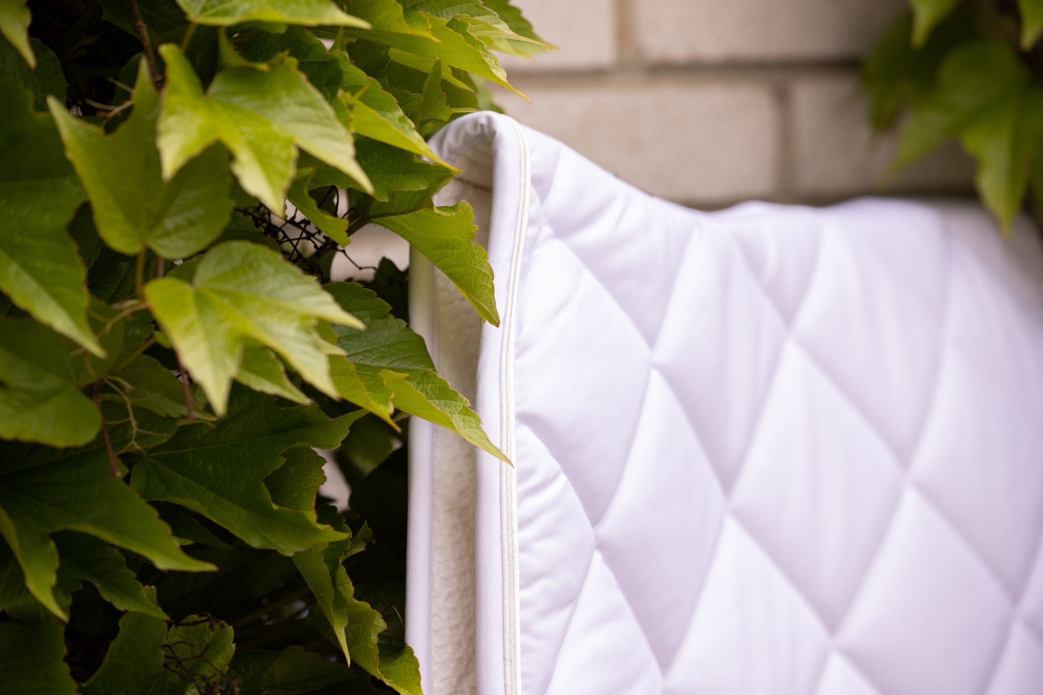 Paddock Sports Prems Saddle pad - All purpose White