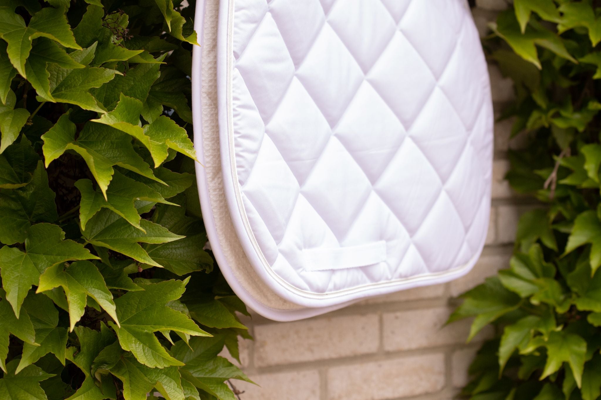 Paddock Sports Prems Saddle pad - All purpose White