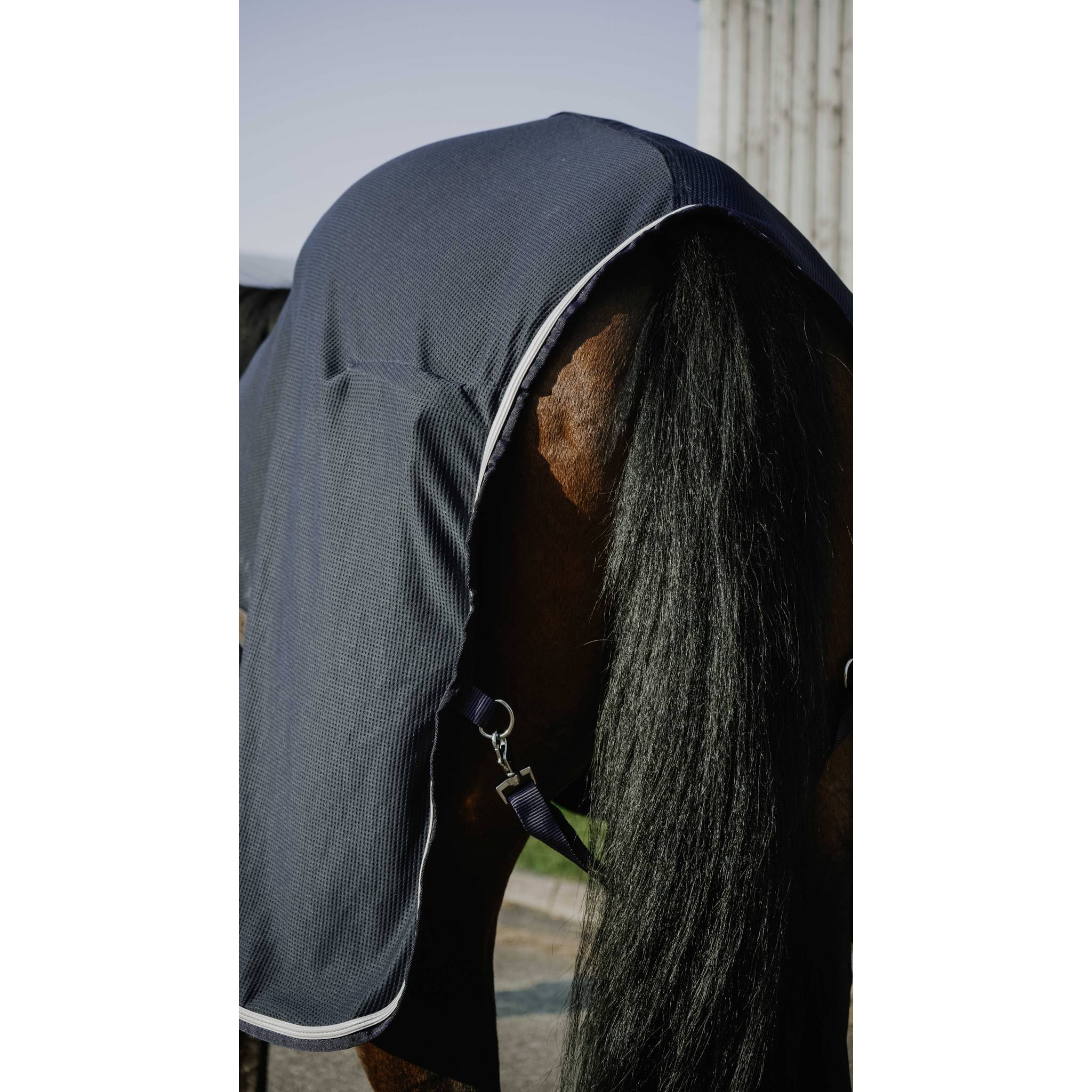 EQUITHÈME Drycool Shirt Navy blue - 400002063_zoom_3